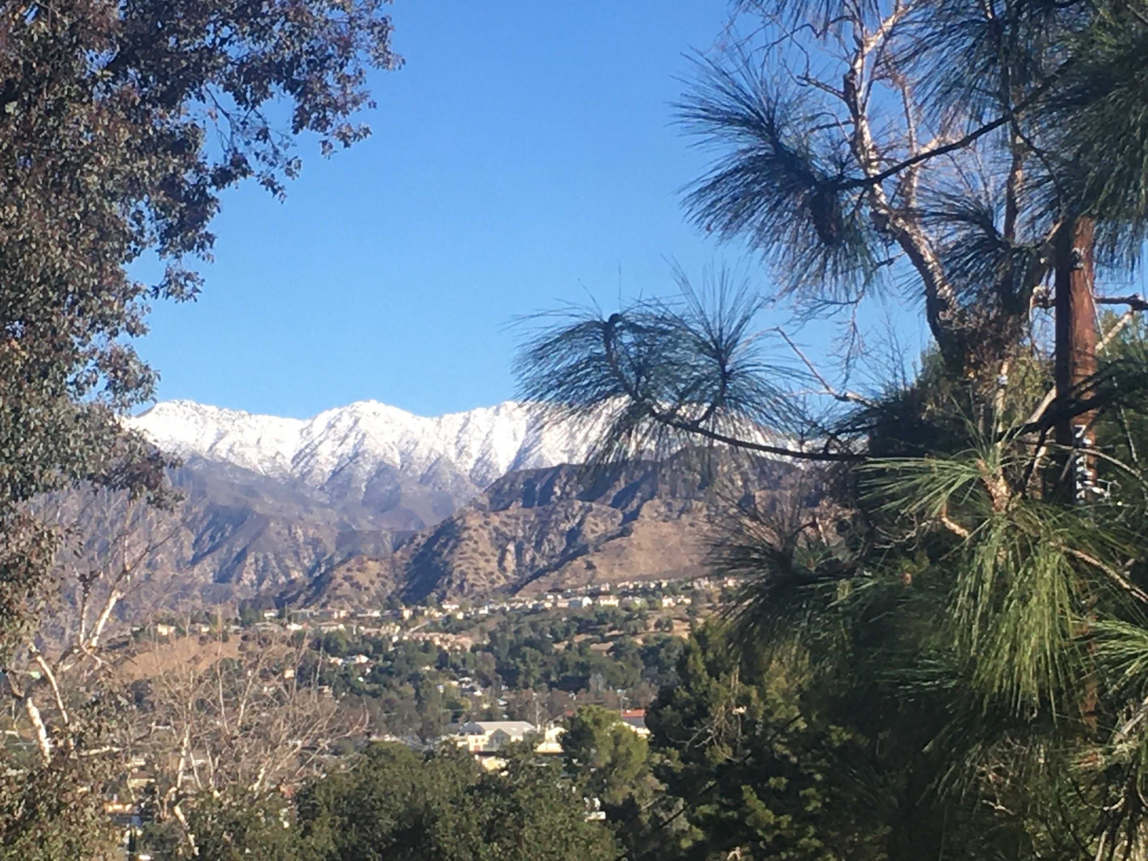 AntFarm LA