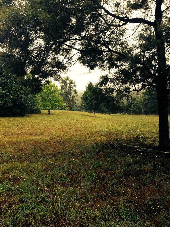 Enjoy the scenery within the property, but please don't camp under a tree. 