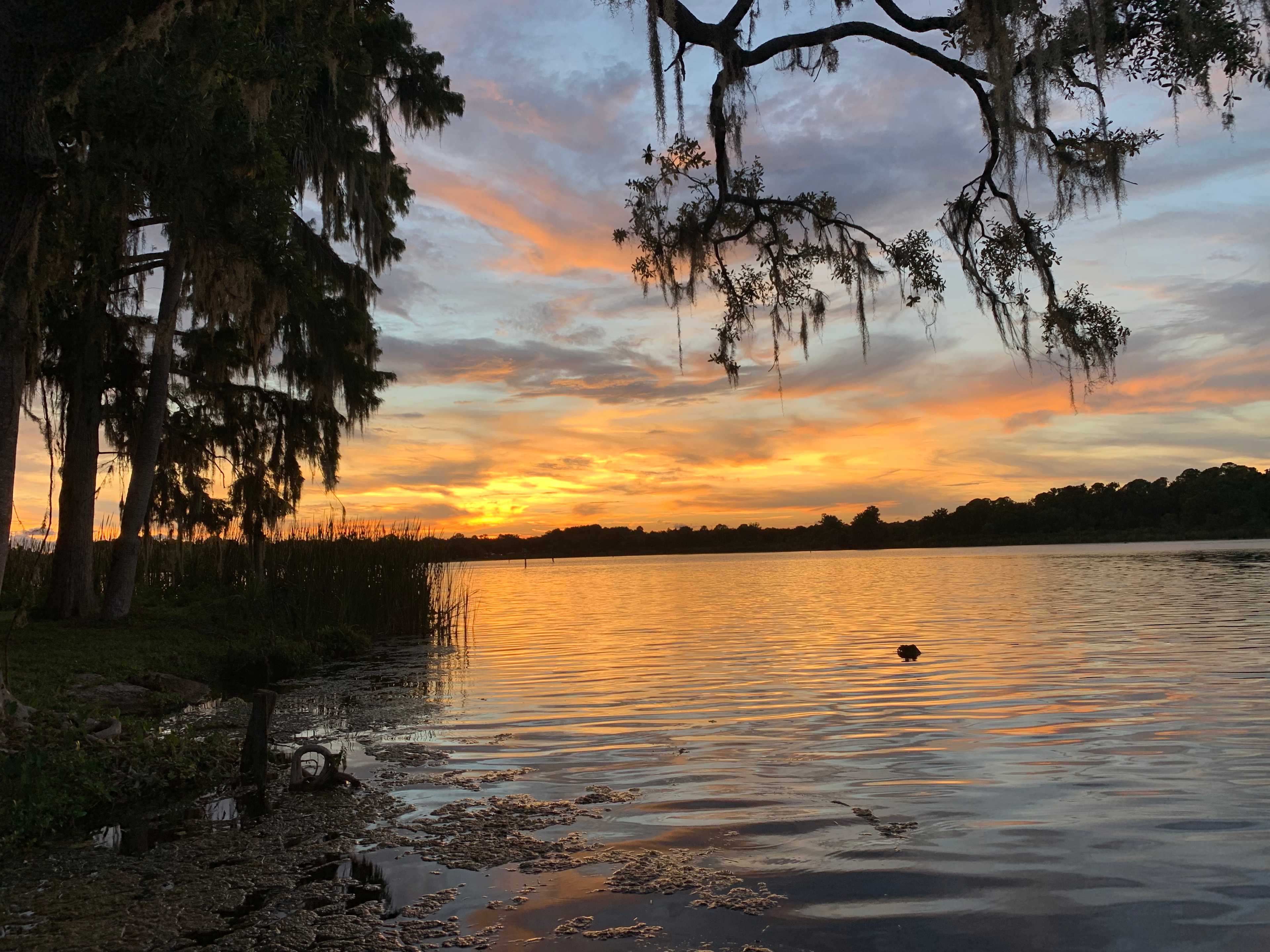 Paradise Lake  Rousseau ,Fl