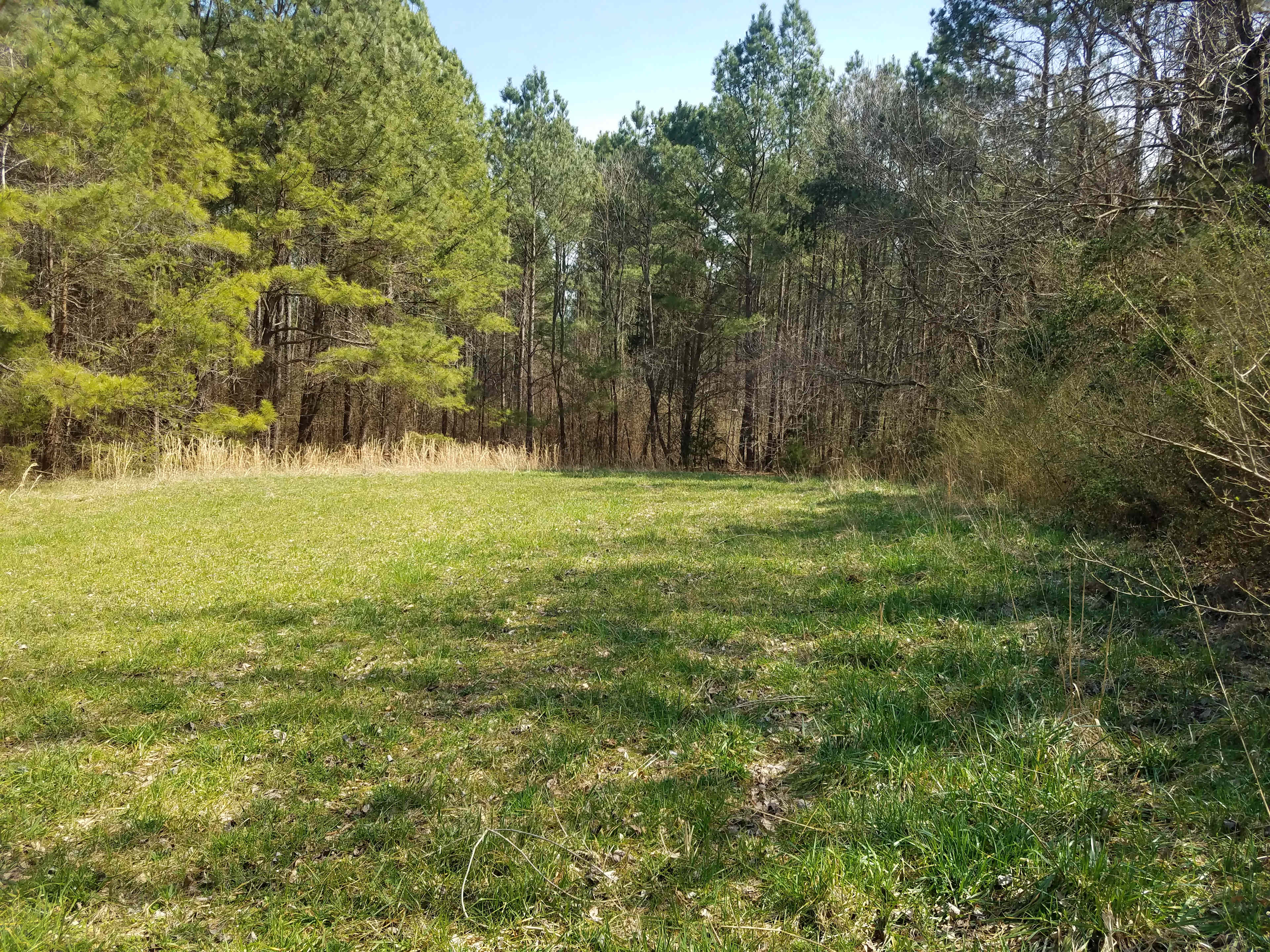 Back Hay fields 