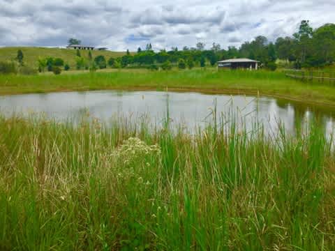 Sandy Creek Kilcoy Park Garden
