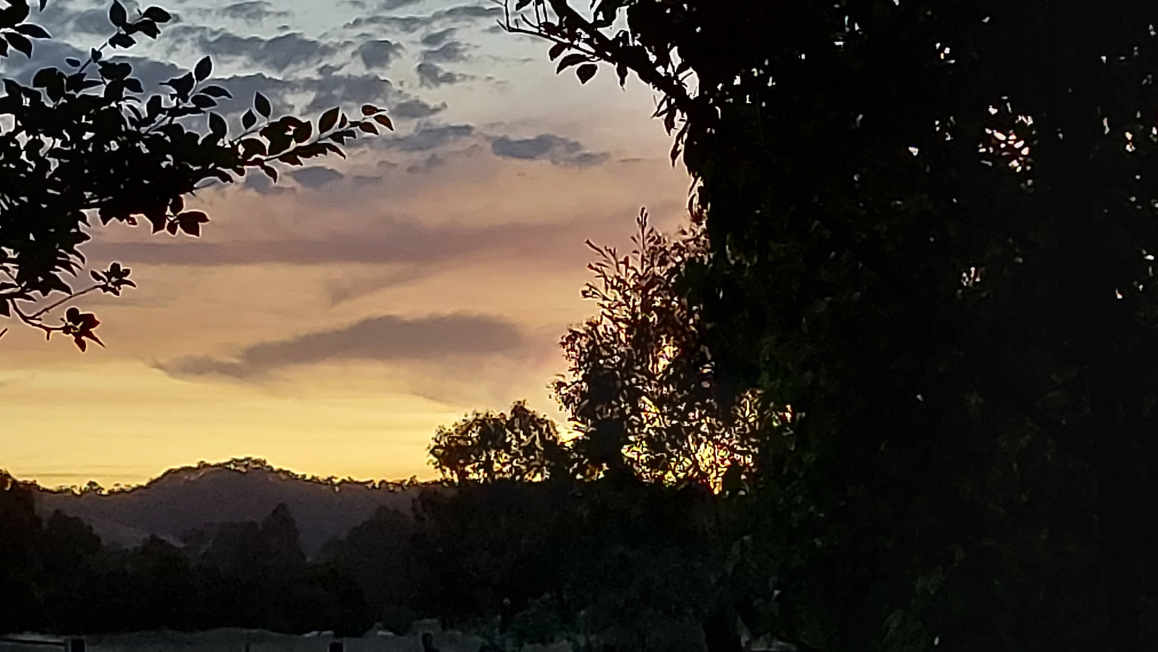 sunset 
