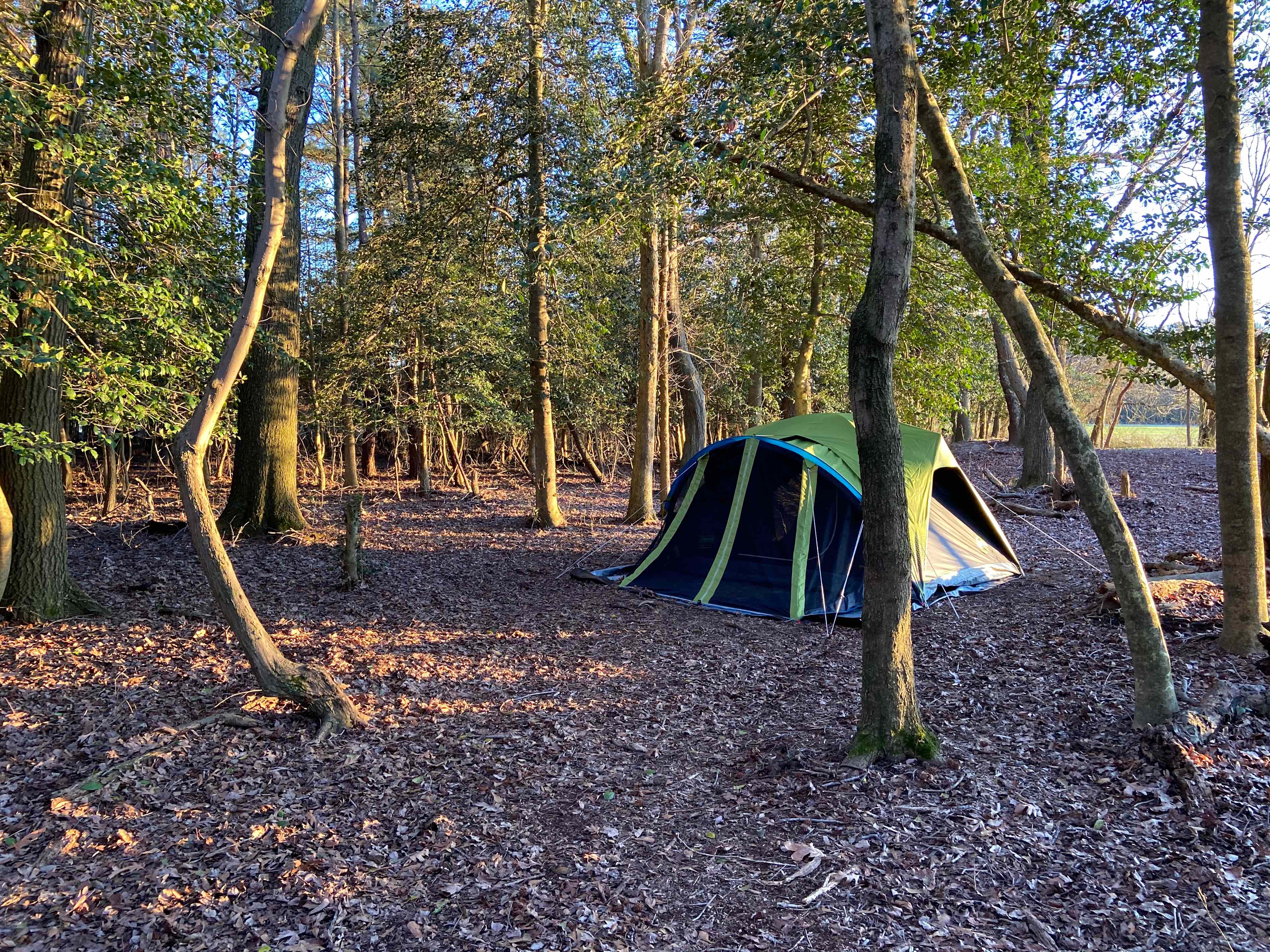Deer Forest Hideaways