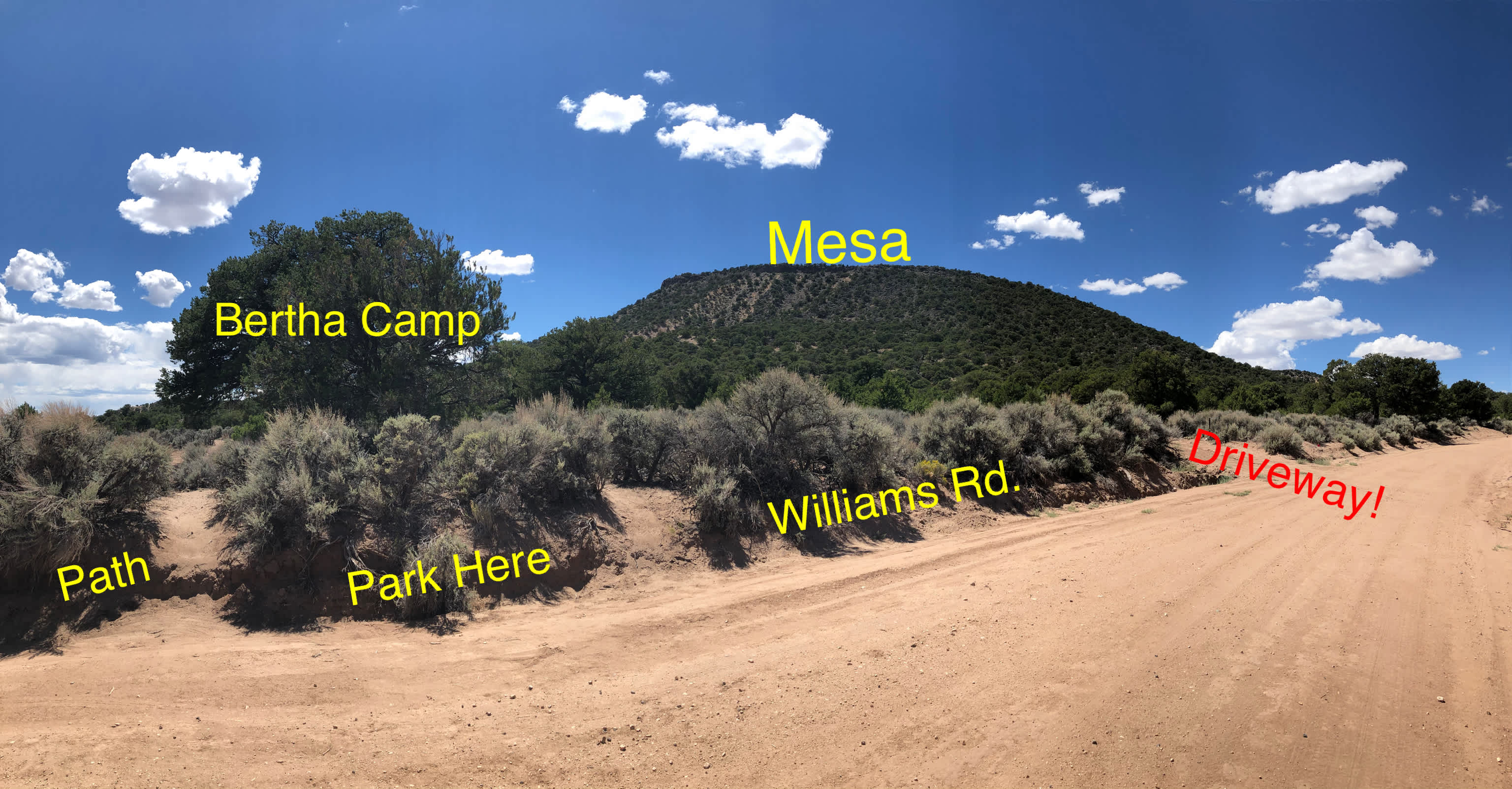 Picture of the site