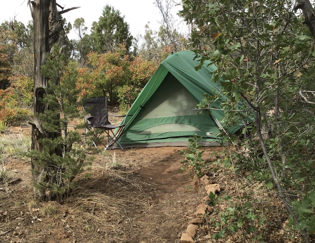 The Grove, Private Tent #1