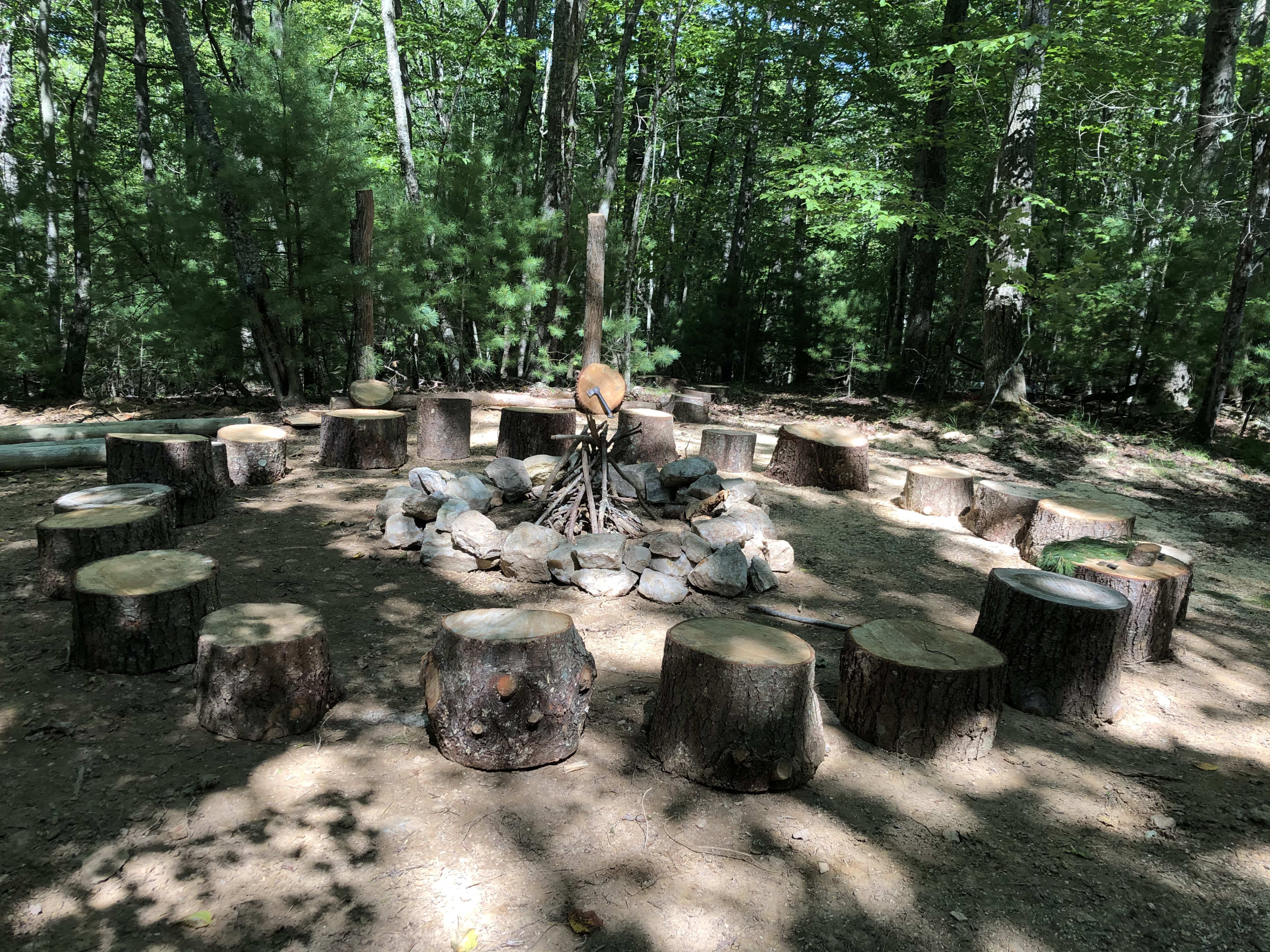 Coyote Forest