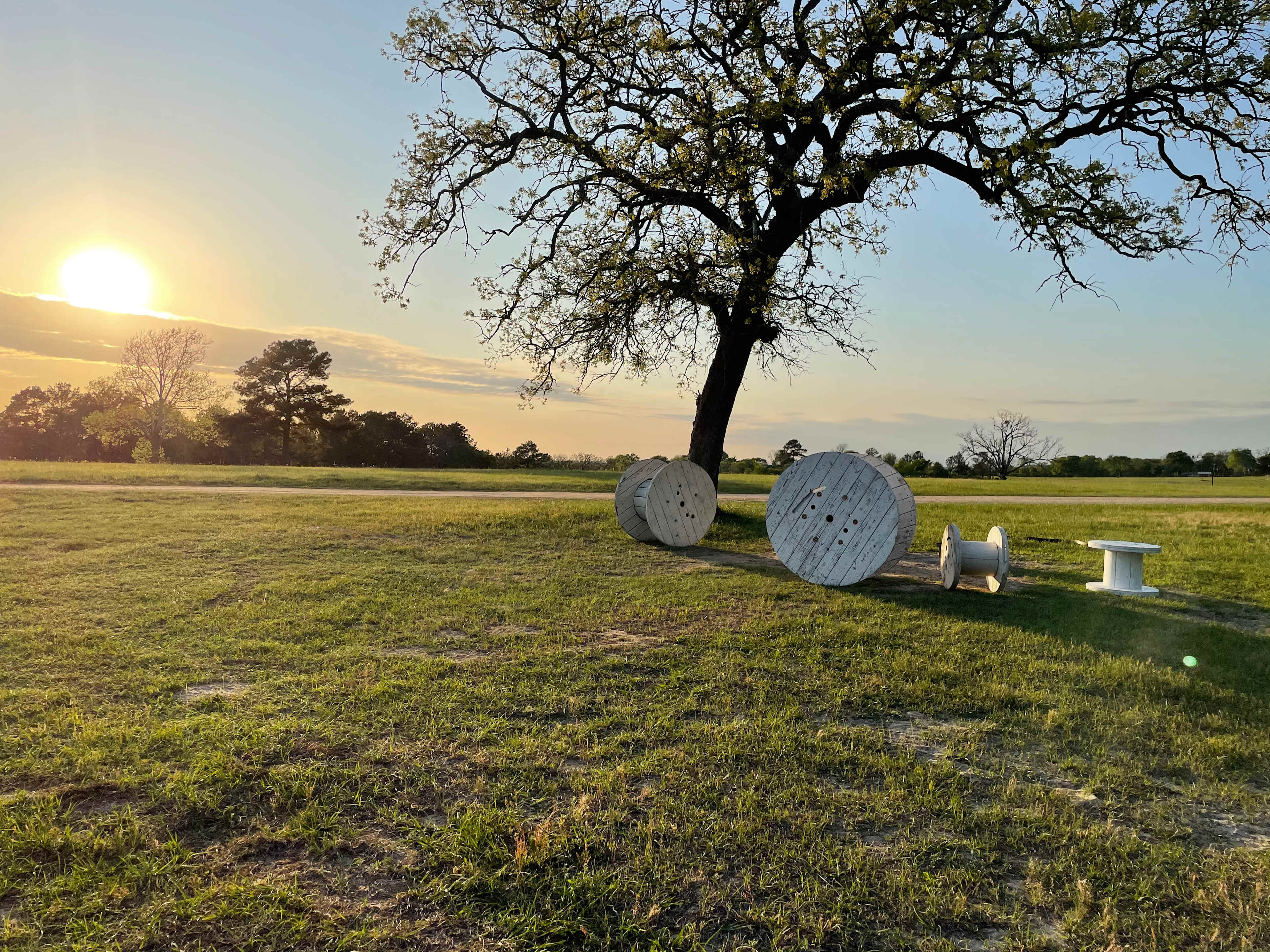 5D RANCH