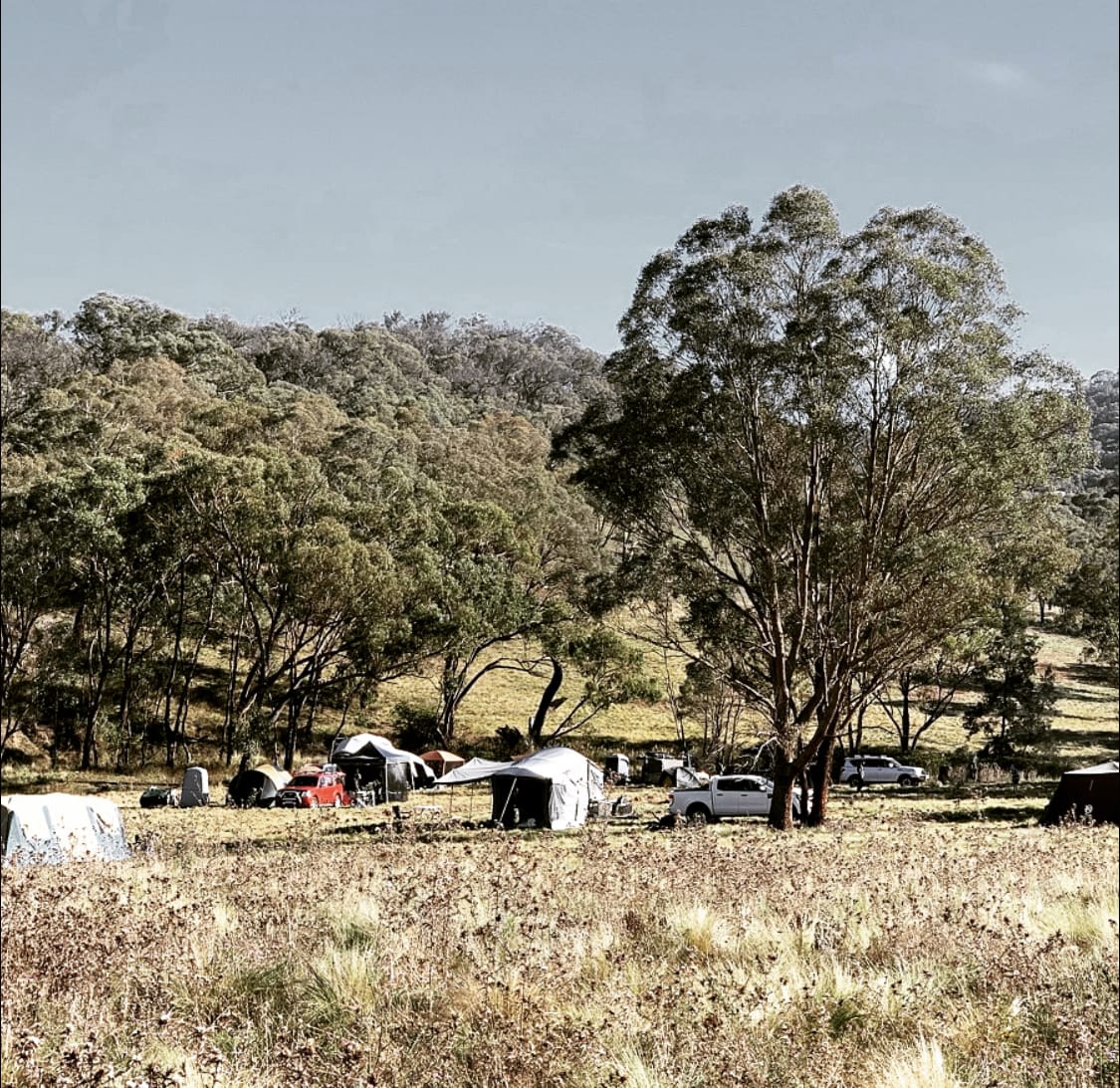 Paddock Camping - 4WD only