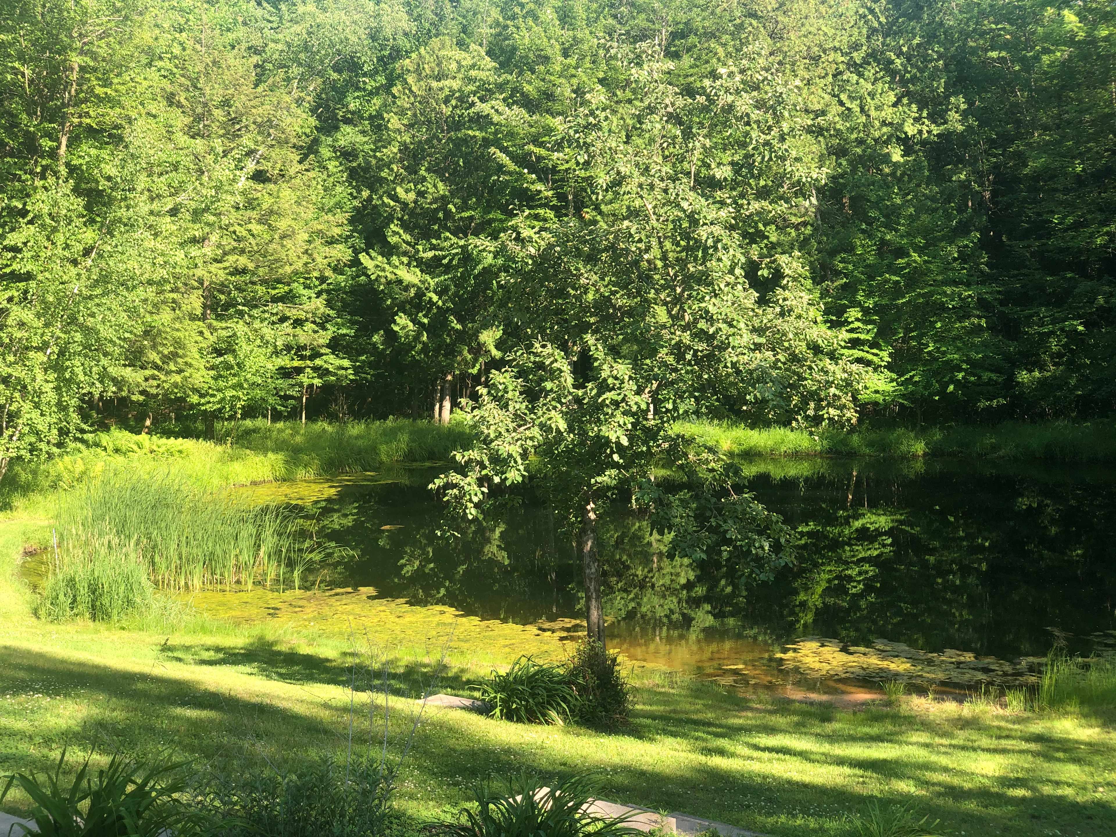 Noman W.’s Land - Hipcamp in Abrams, Wisconsin