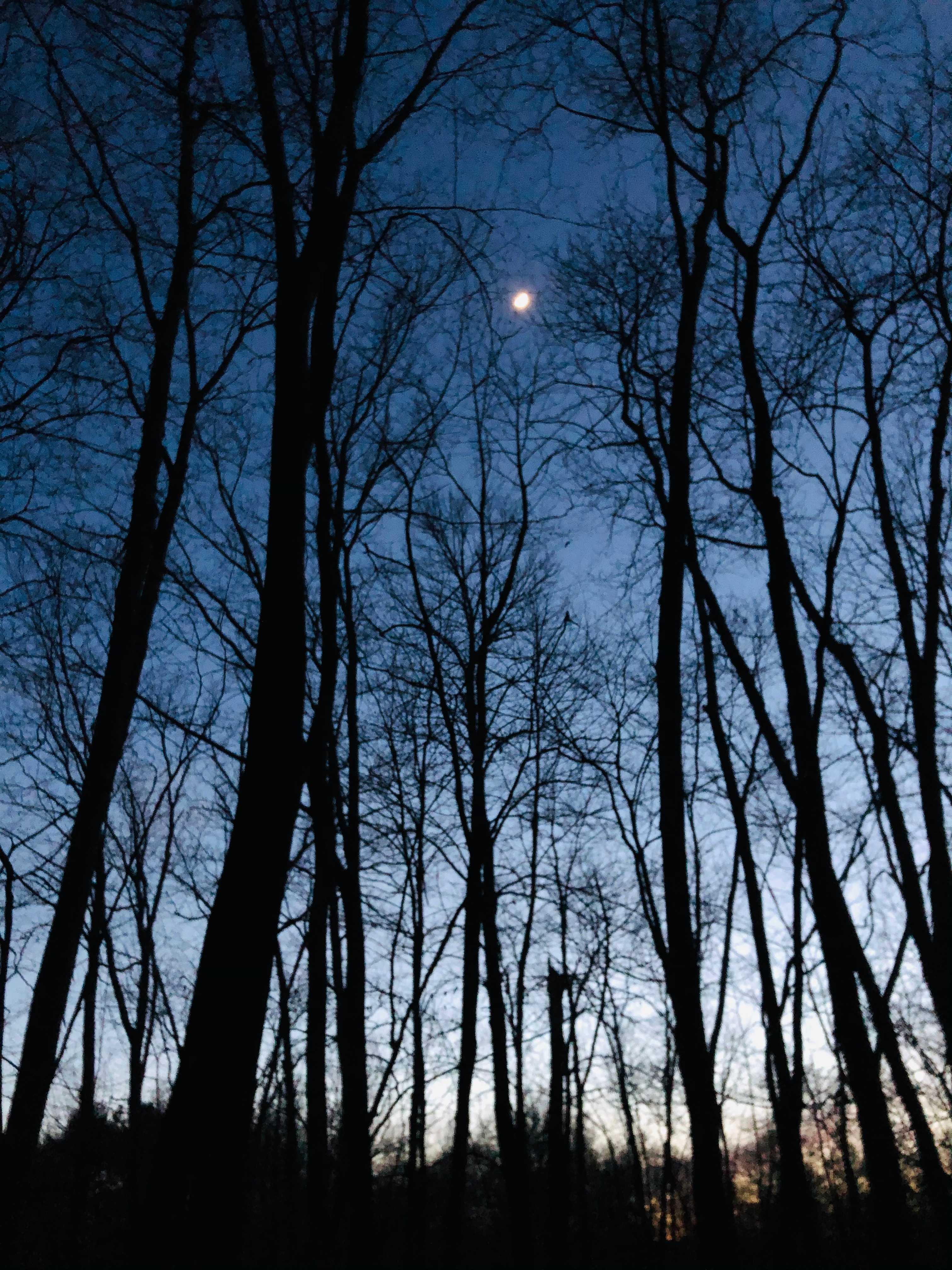 WHY Camp Worth Healing Yourself