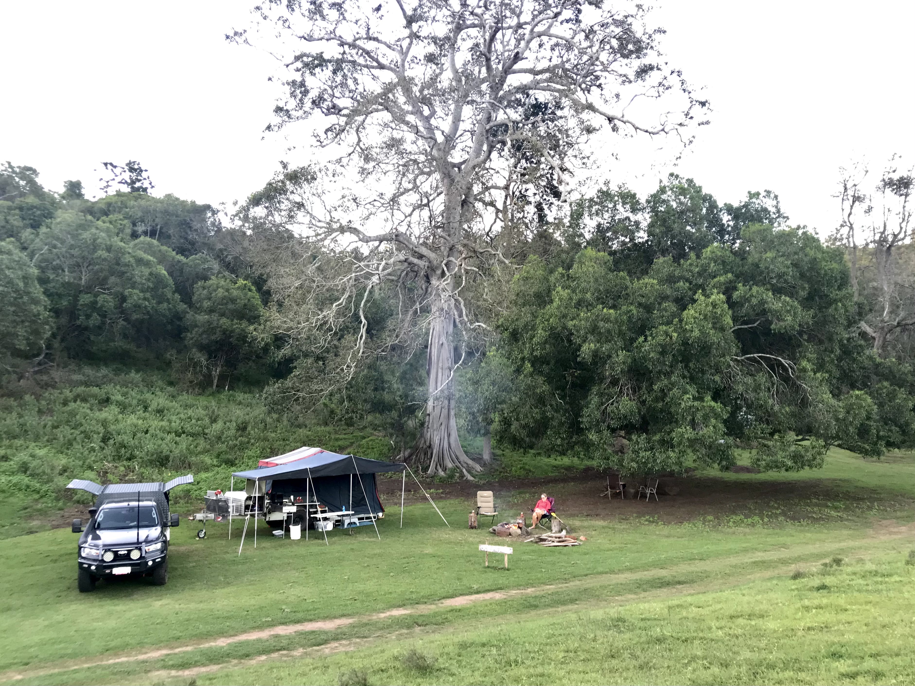 Fig Tree Camping