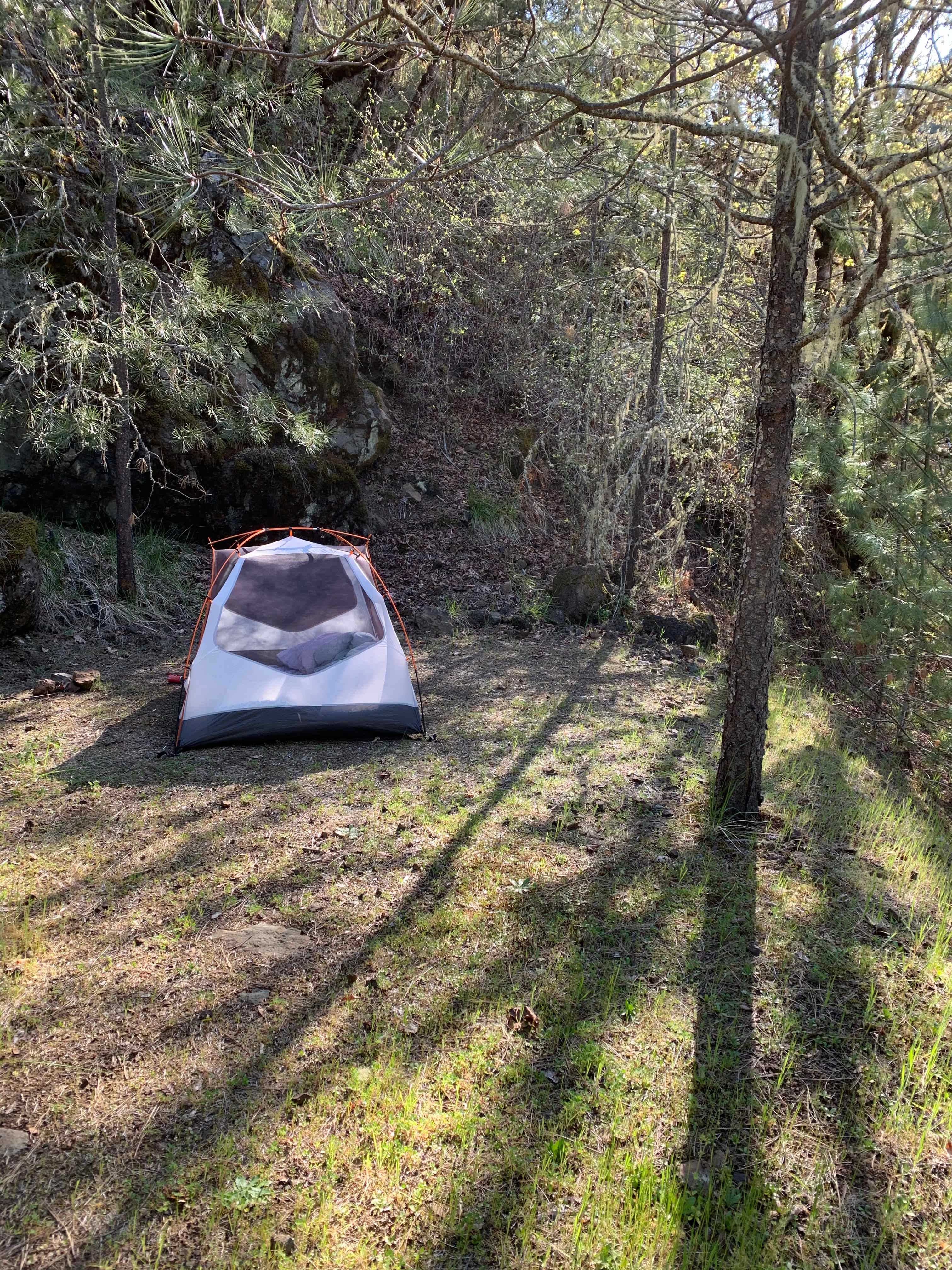 Quiet, secluded spot for our tent (also no rain fly because the stars were incredible!!)