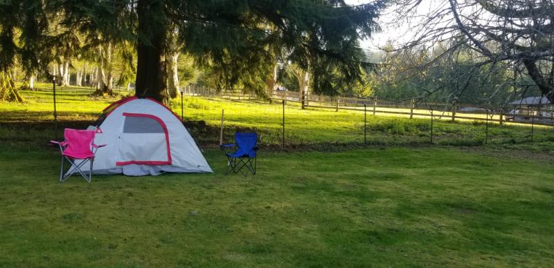 tent site 3