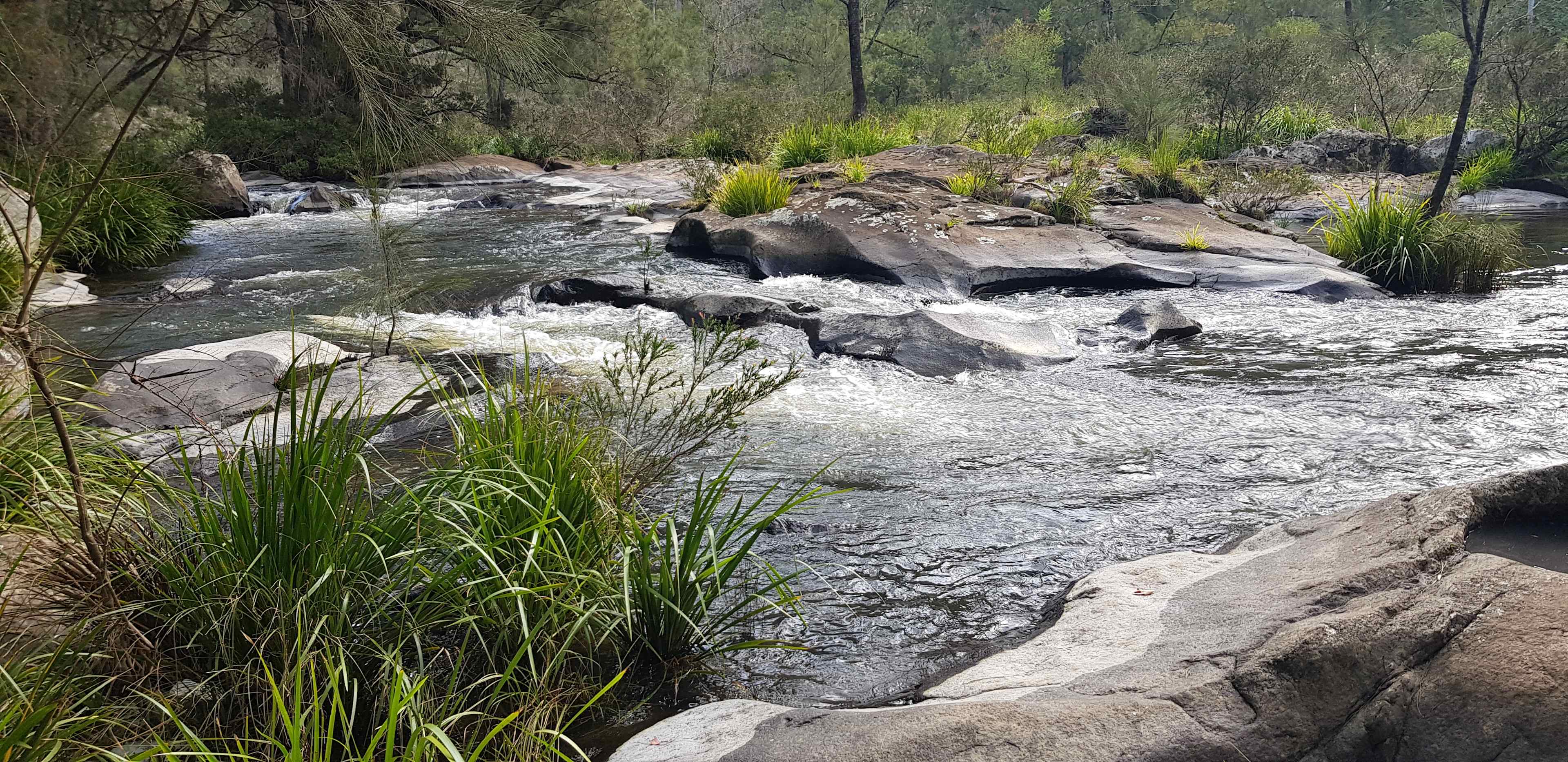 Blicks River Camping