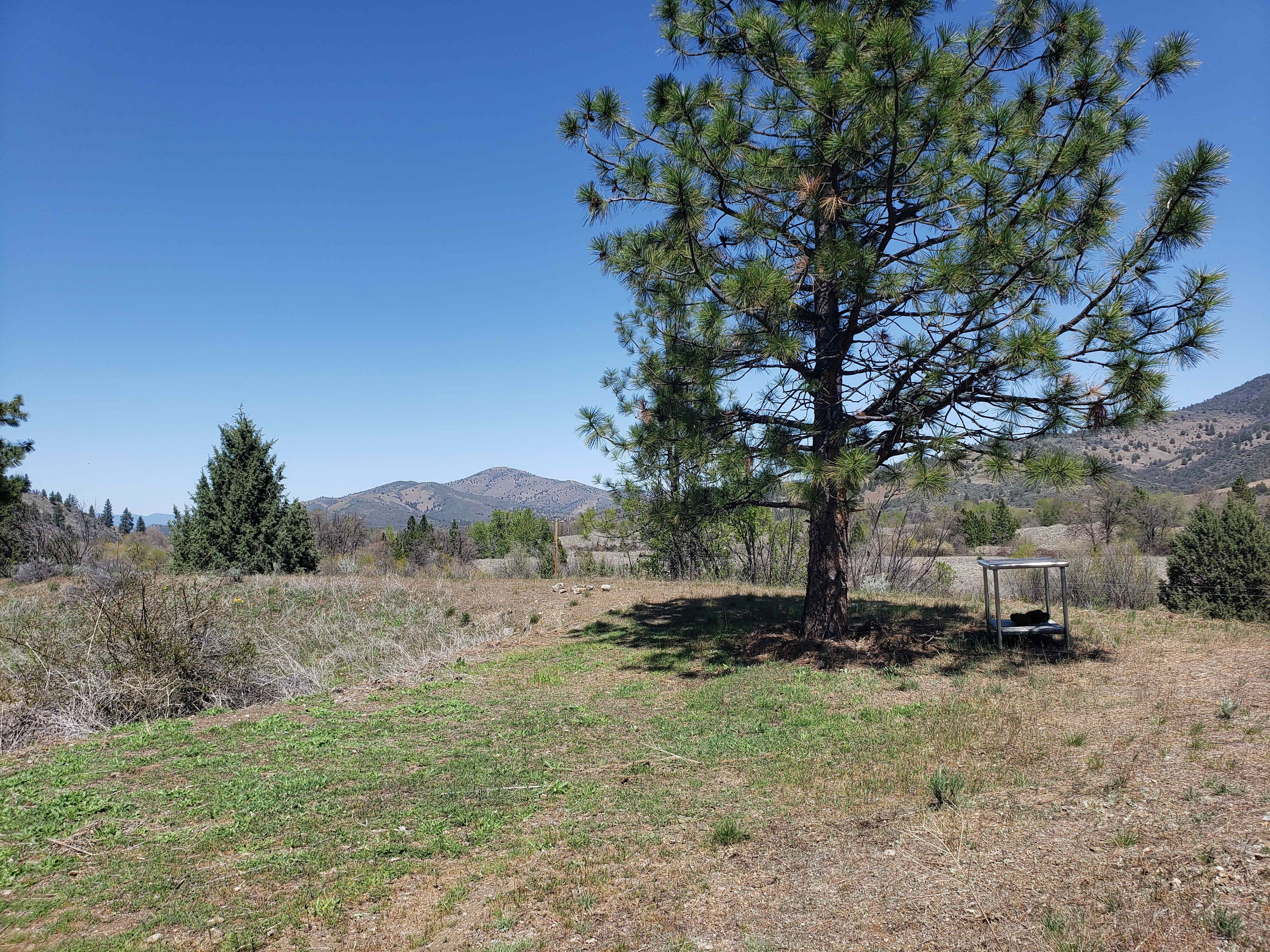 Great mountain views from a ridge near the pond