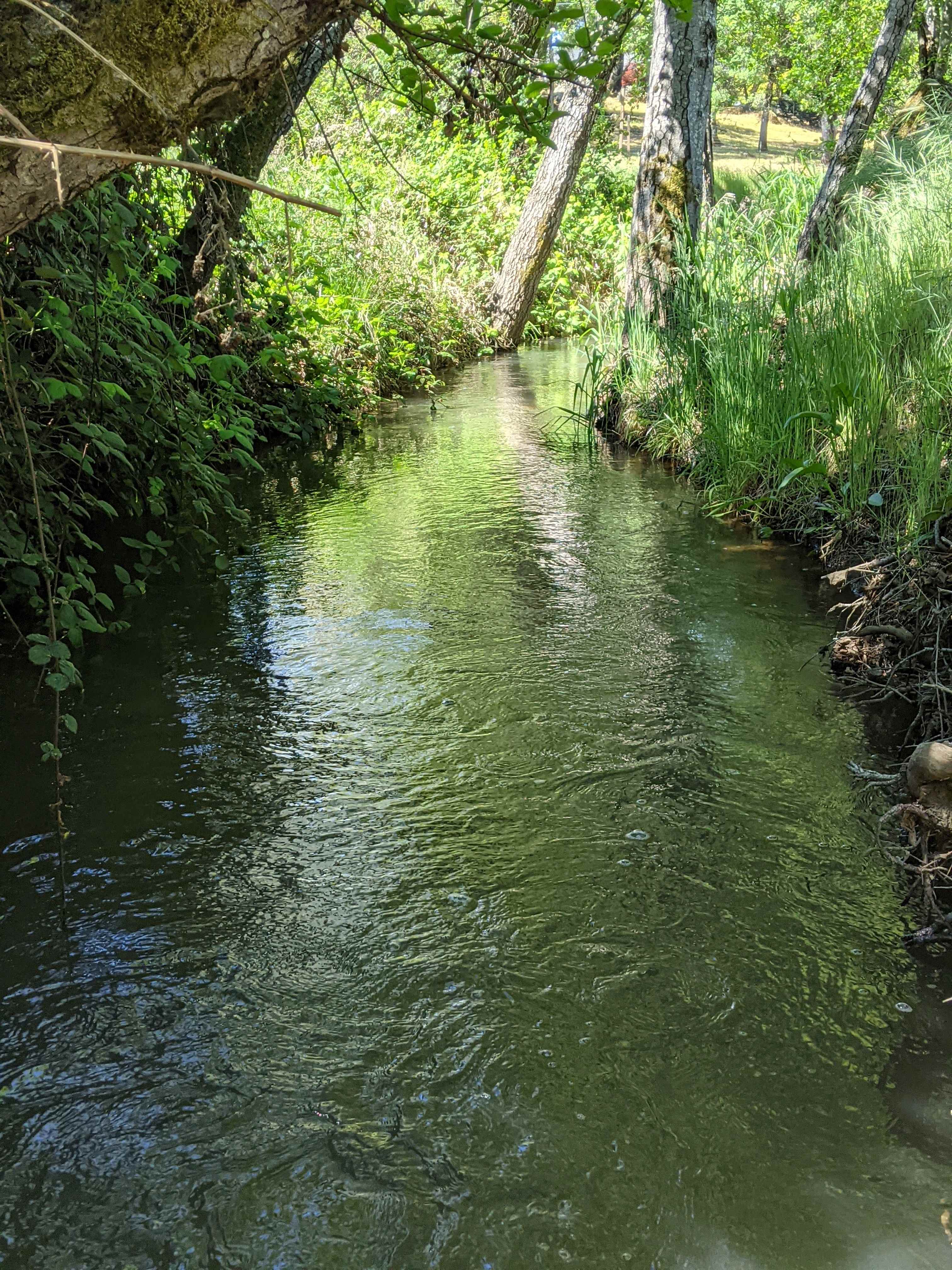 Personal Creekside Camping
