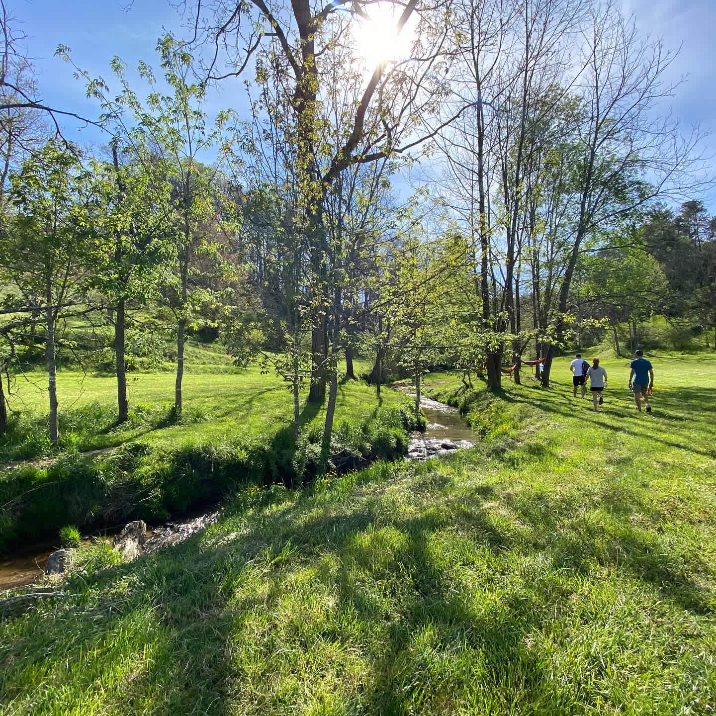 Streamside