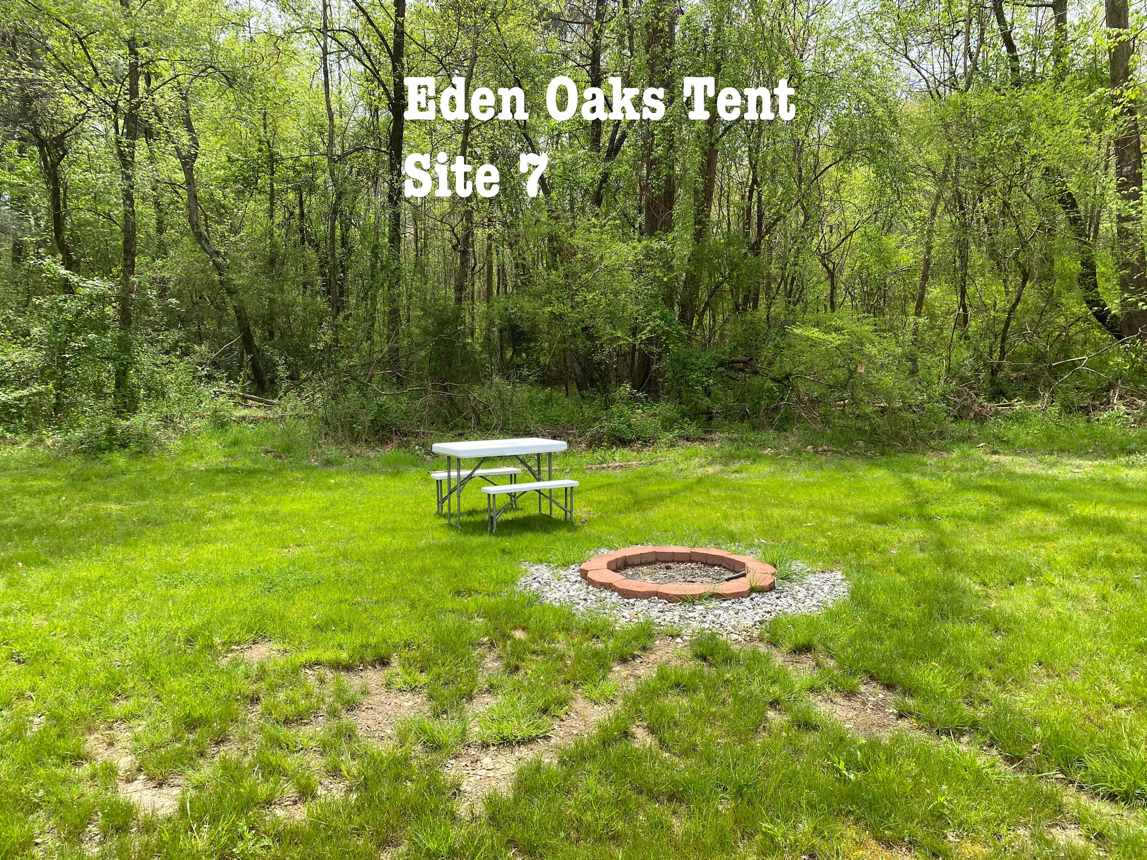 Tent Site 7 next to the creek.
