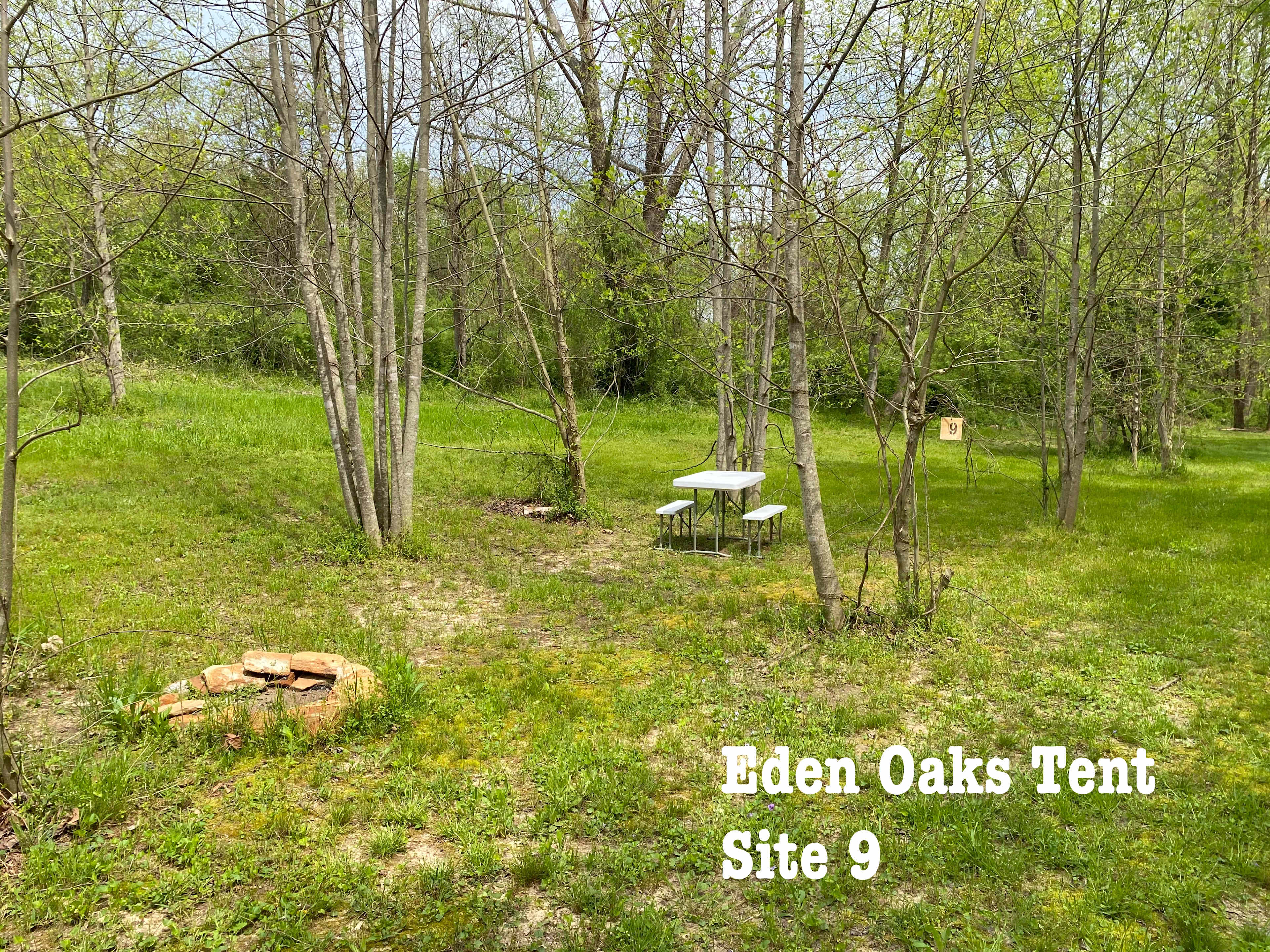 Tent Site 9 next to the creek.