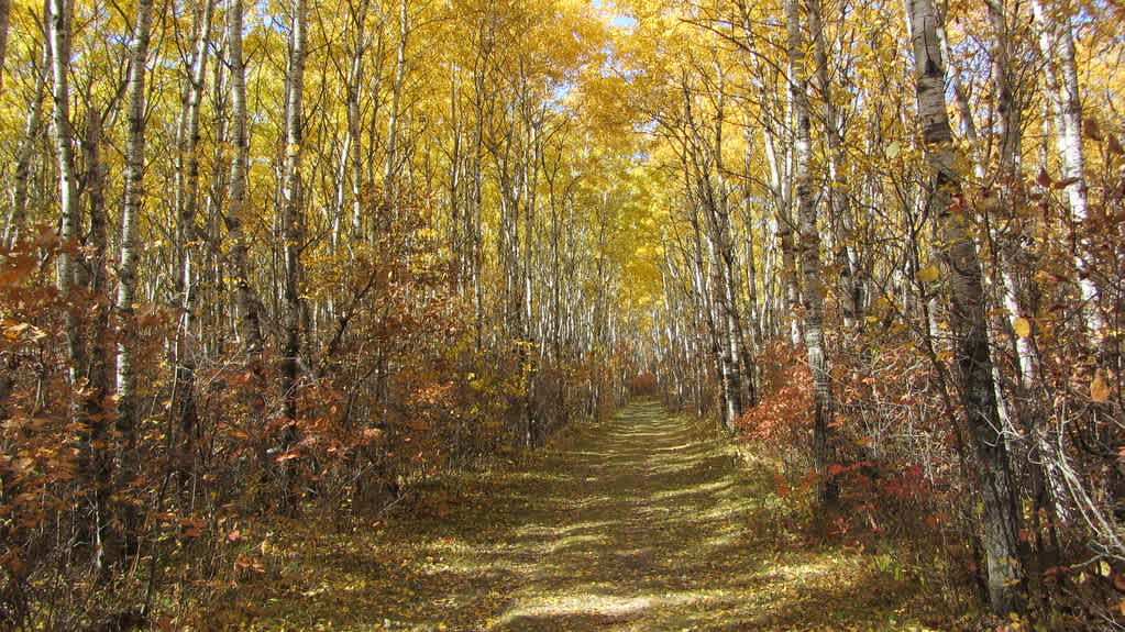 Birds Hill Provincial Park