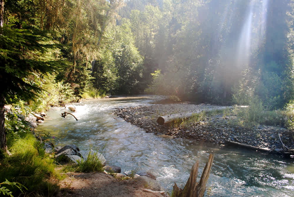 Birkenhead Lake Provincial Park