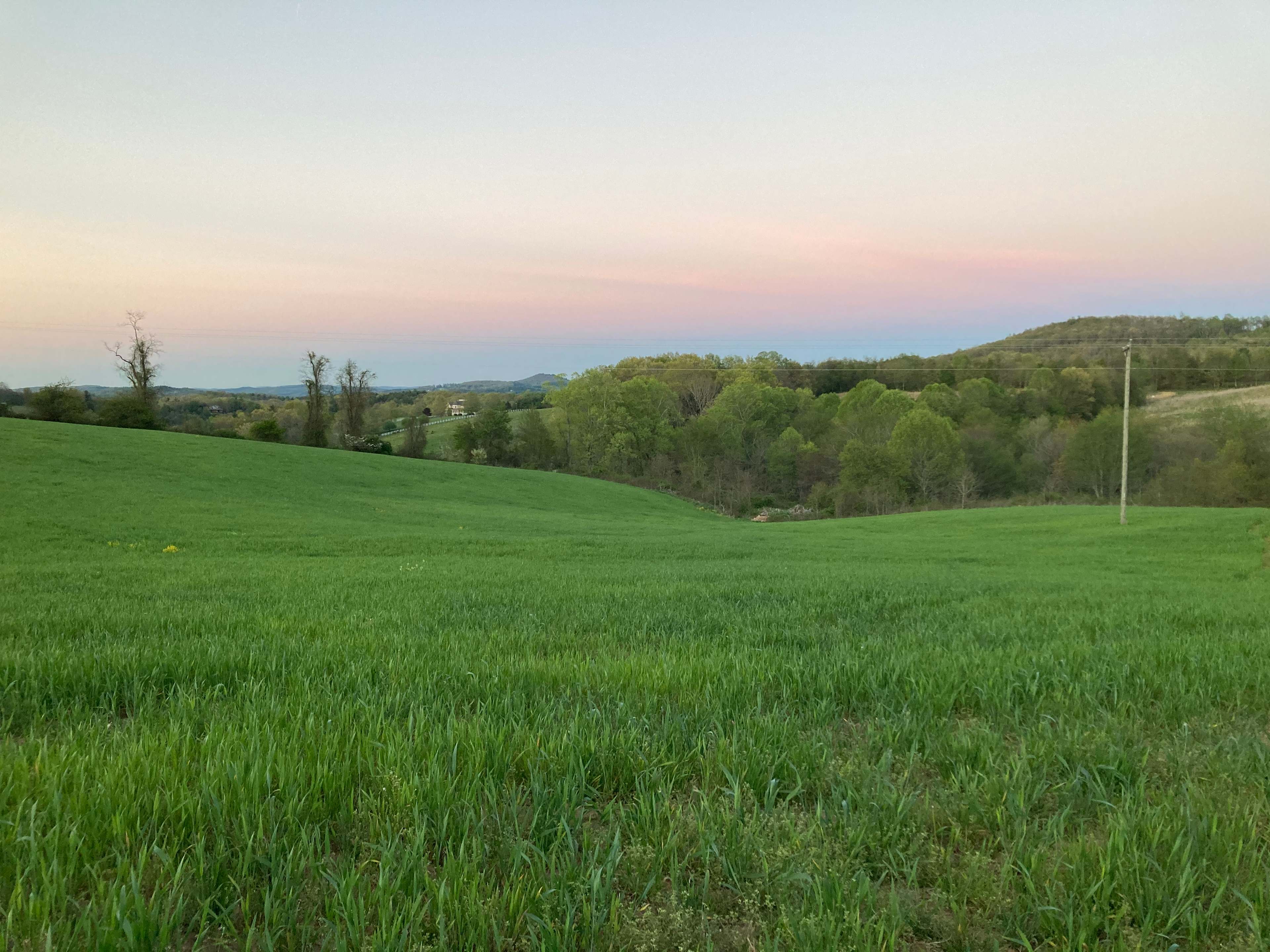 Daynasaurland Creekside Camping