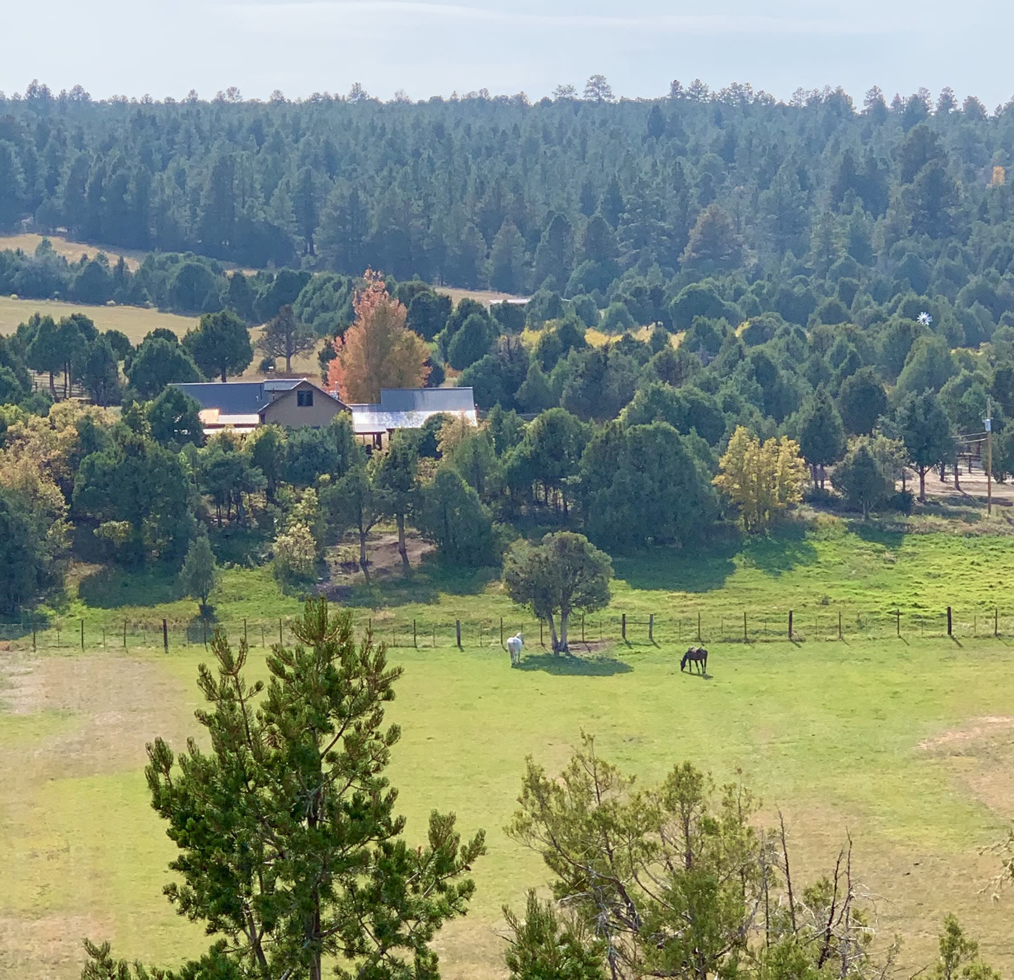 View of the house and horses in the field from Lower Llano Road in the fall.