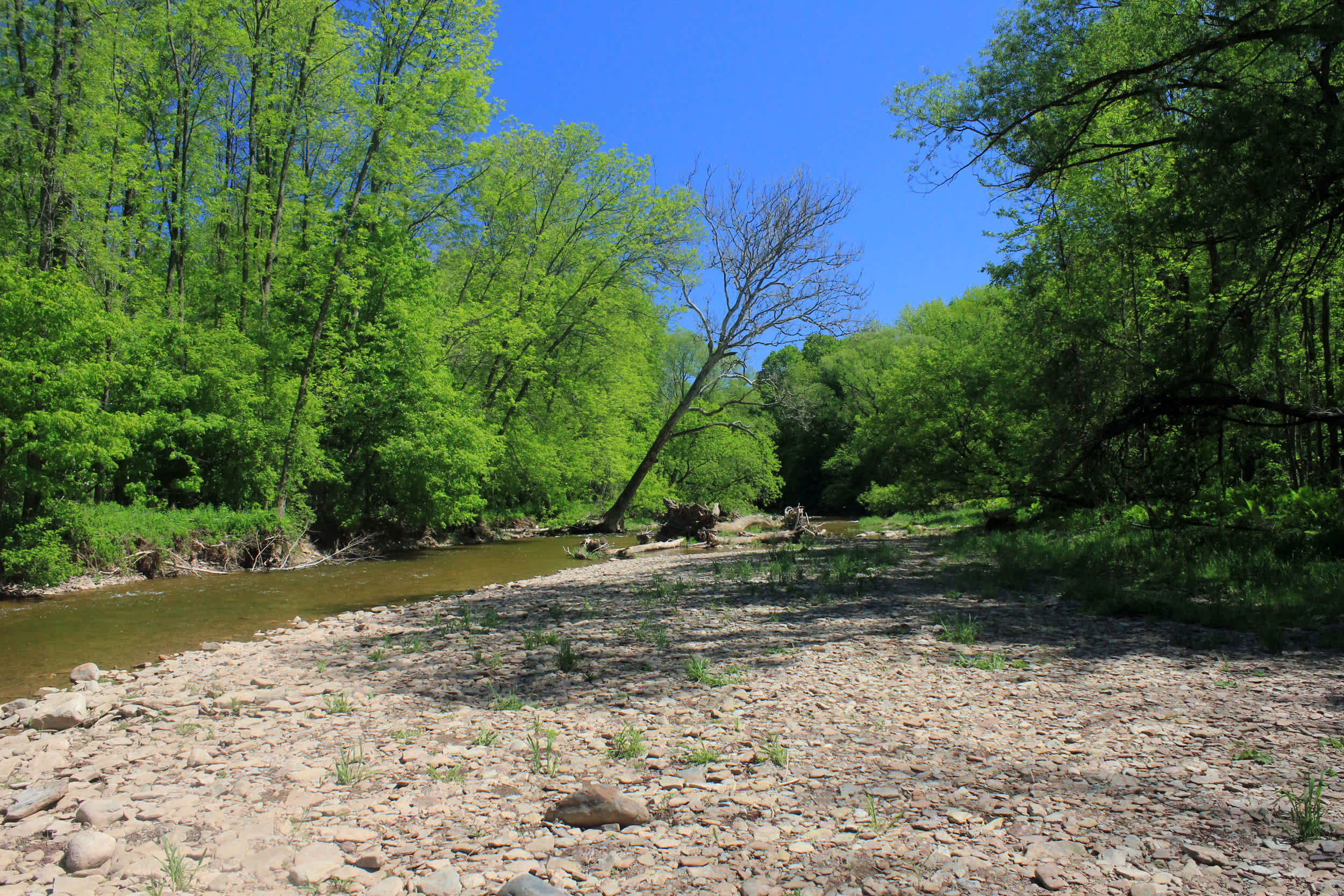 Bronte Creek Provincial Park
