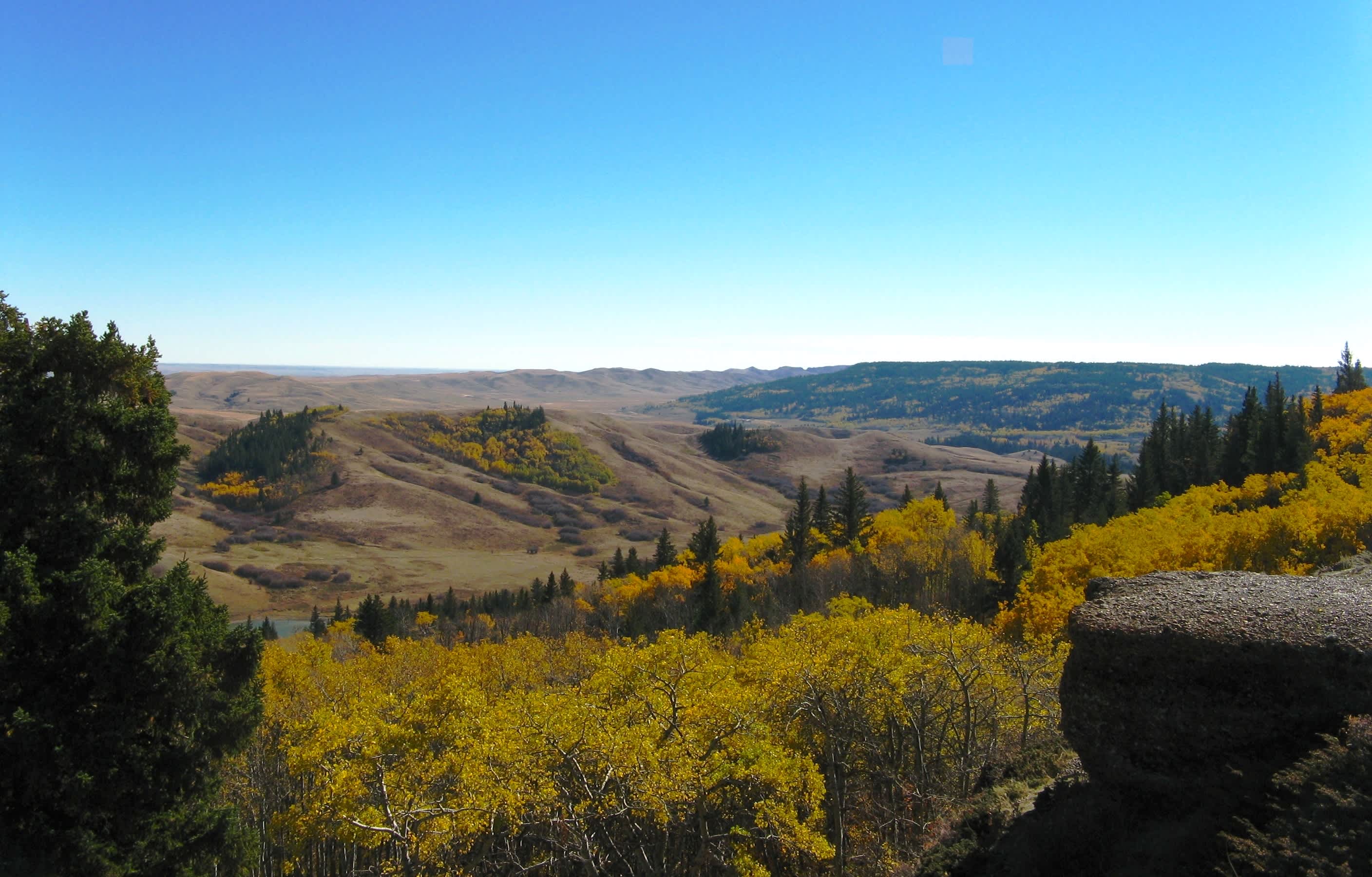 Cypress Hills Interprovincial Park