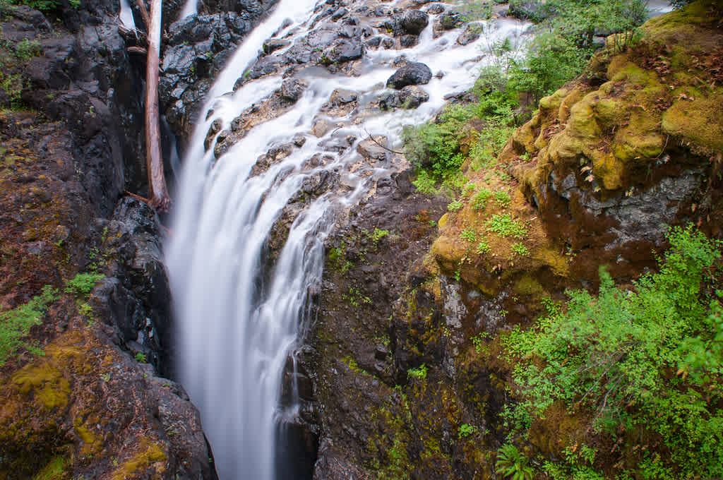 Englishman River Falls Provincial Park