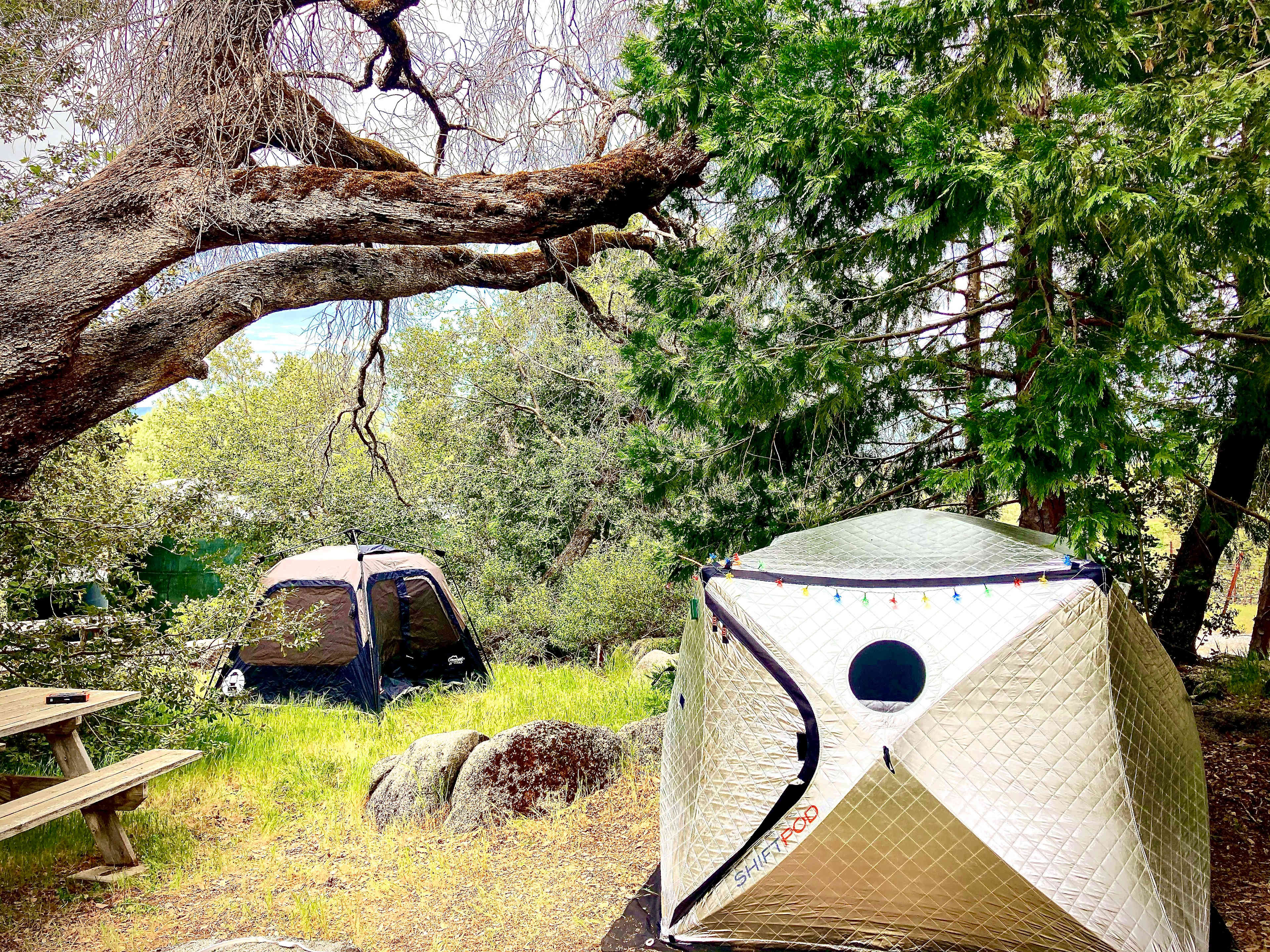Campsite #1