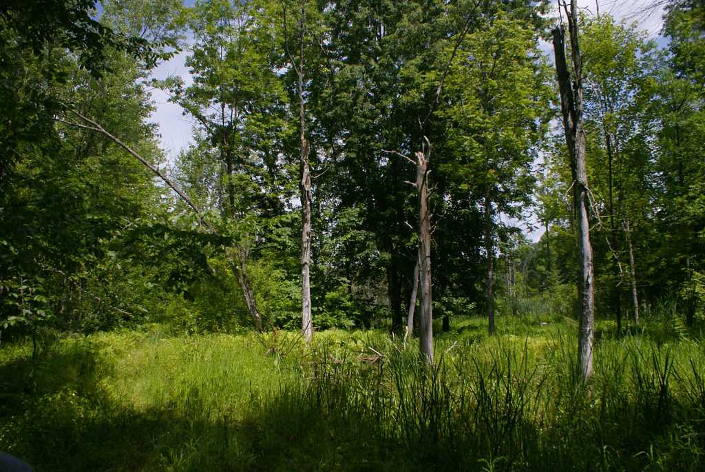 Fitzroy Provincial Park