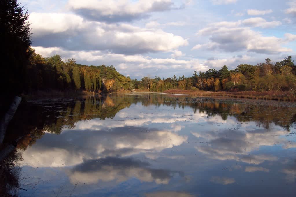 Pinery Provincial Park
