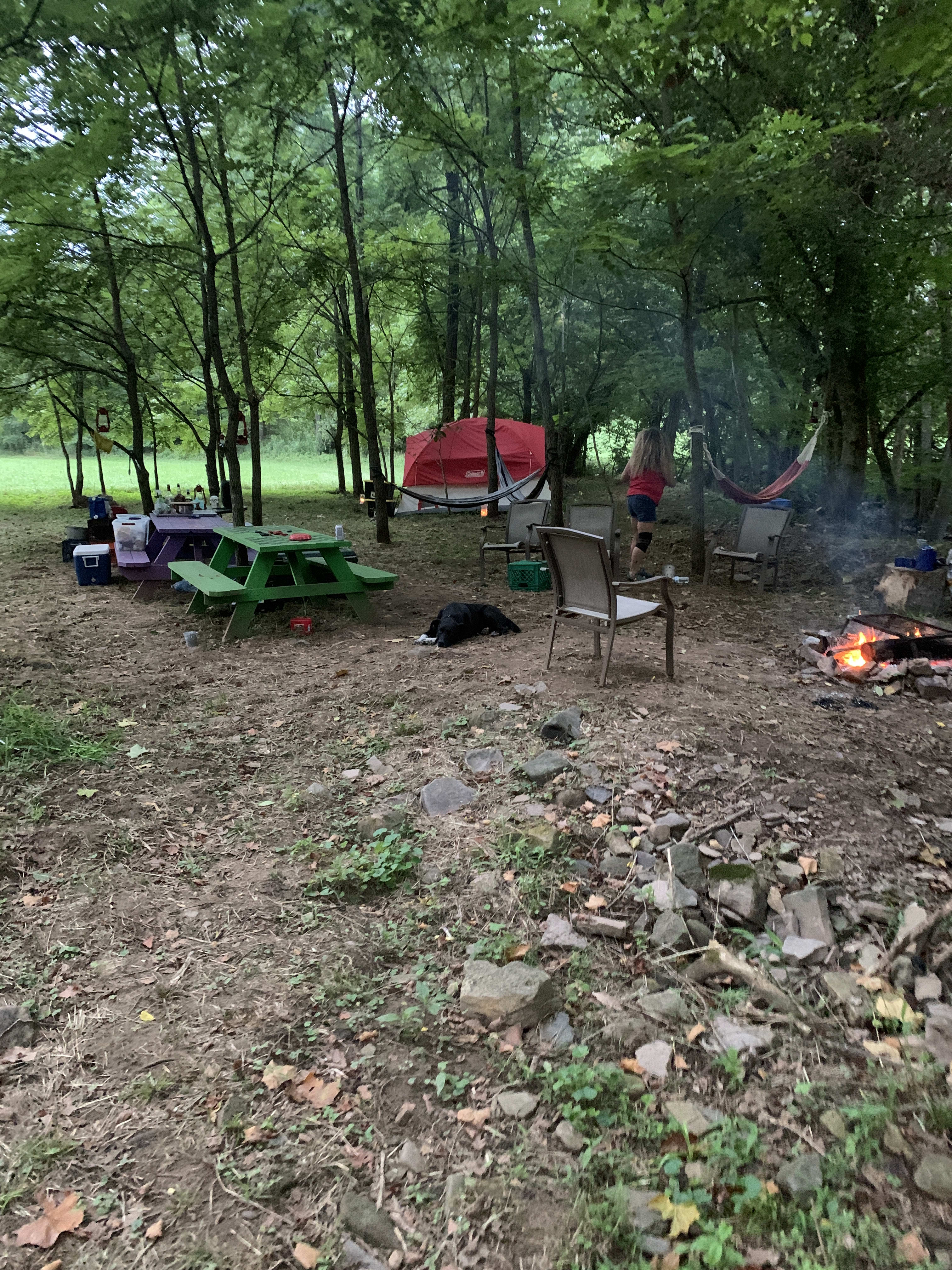 Riverside Camping in the Mountains!