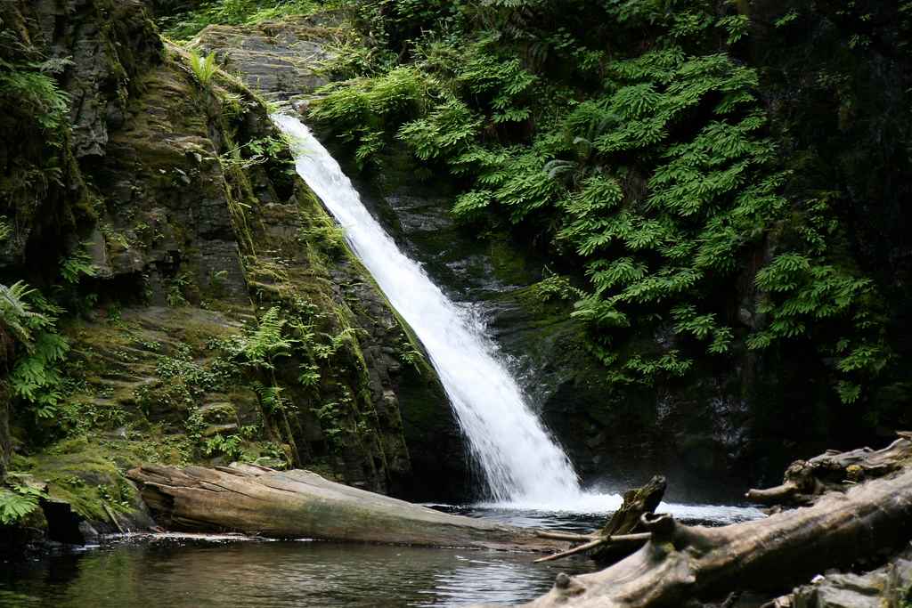 Goldstream Provincial Park