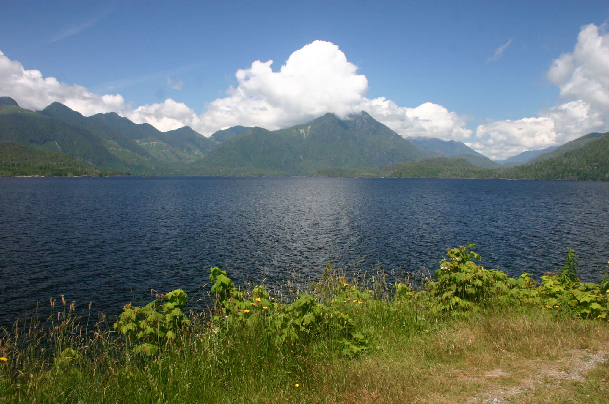 Kennedy Lake Provincial Park