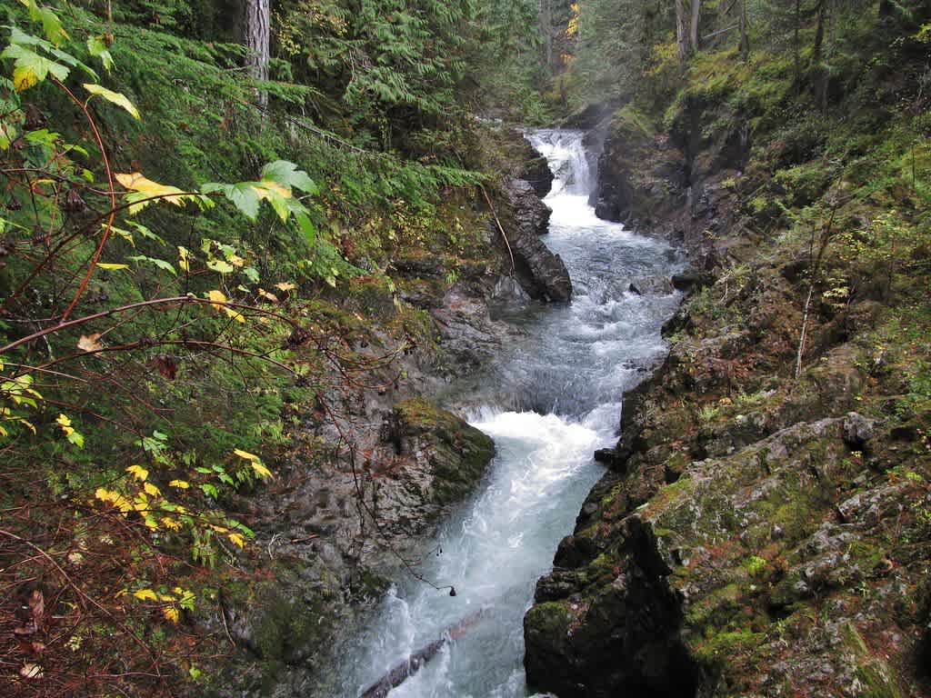 Little Qualicum Falls Provincial Park