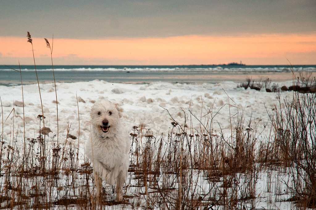 MacGregor Point Provincial Park