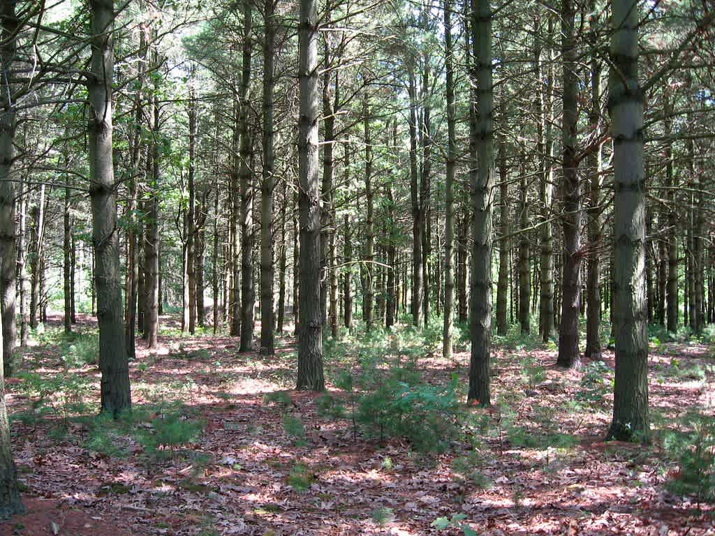 Turkey Point Provincial Park