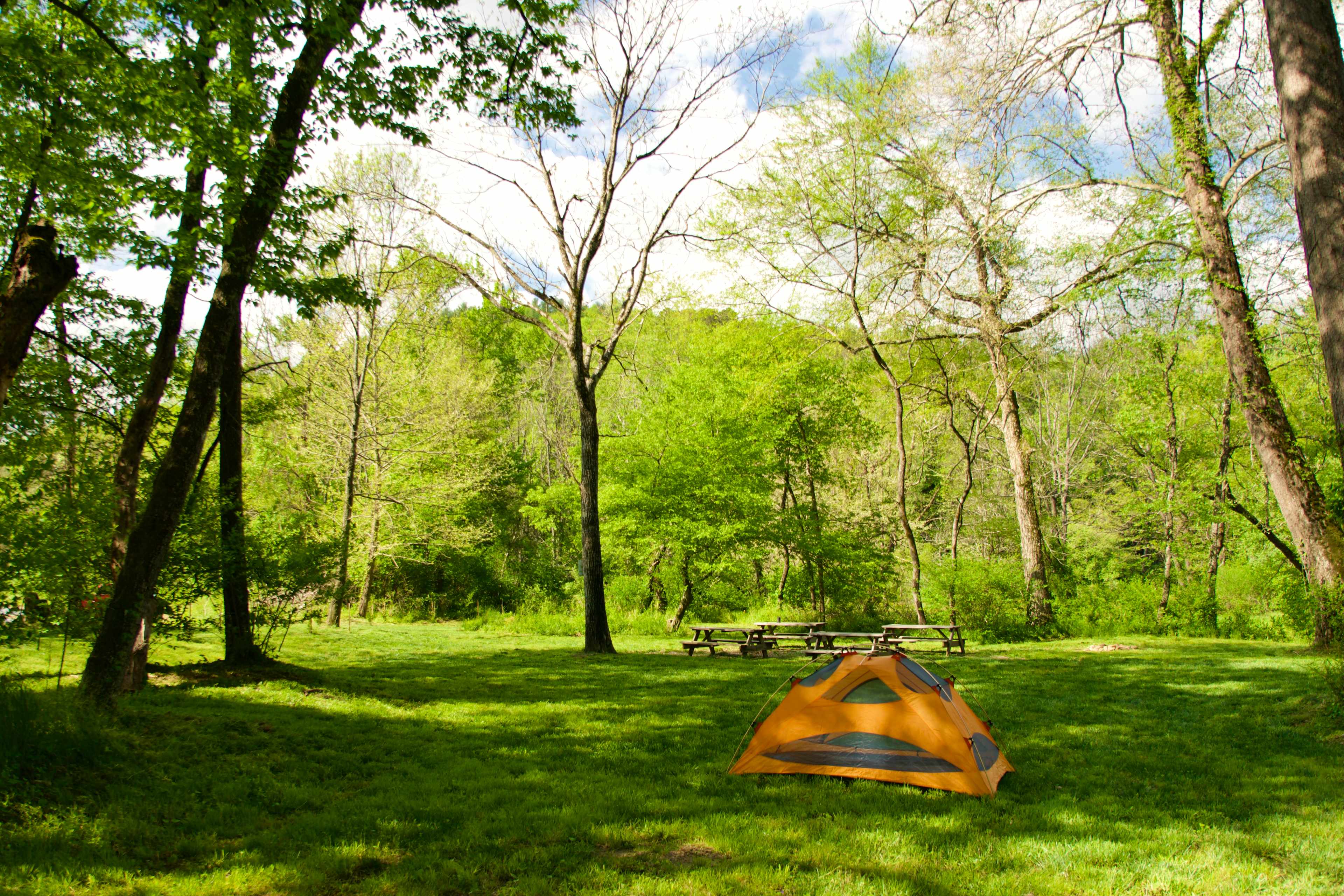 Site #3