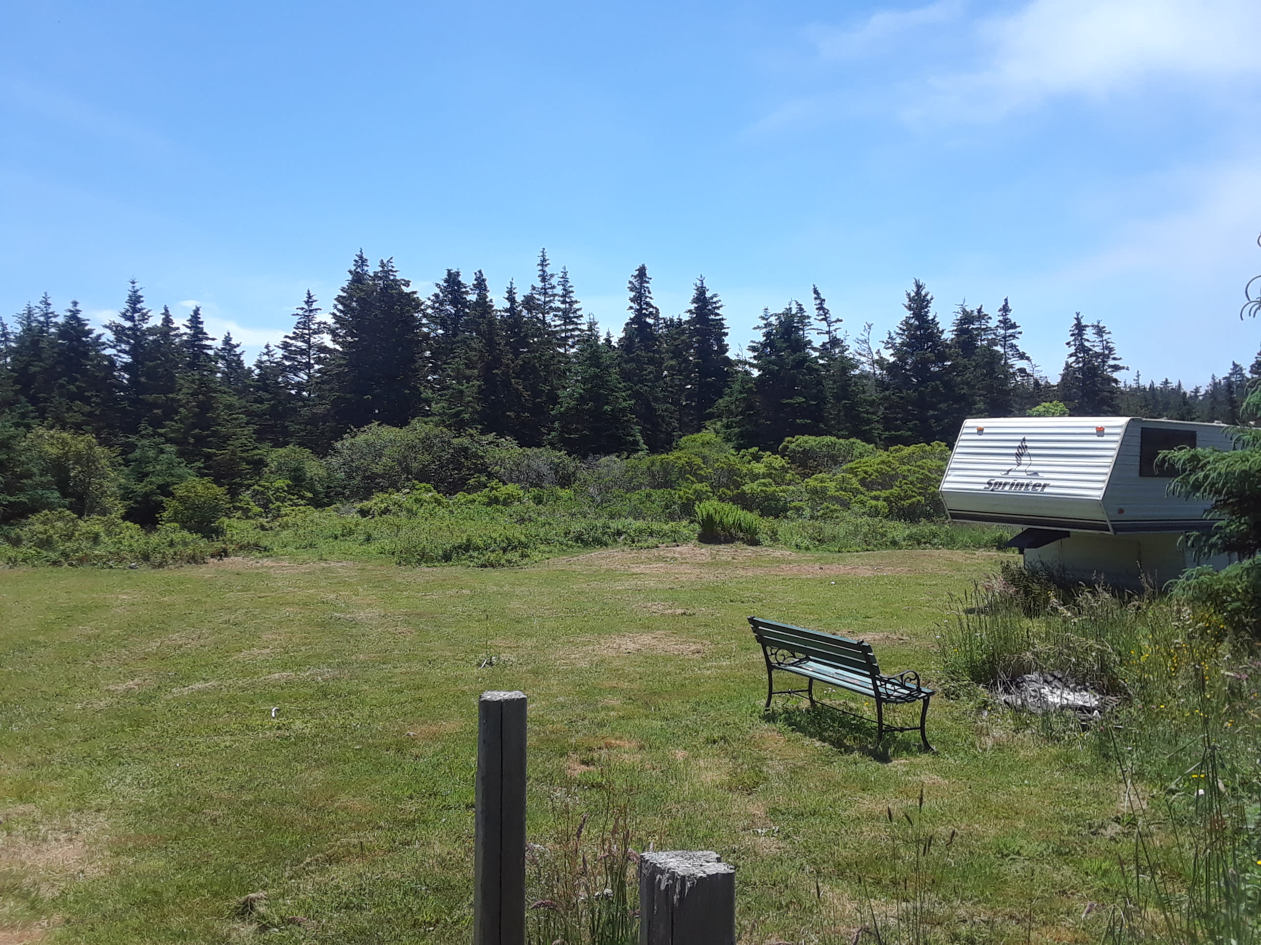 Green Grass Camping Site
