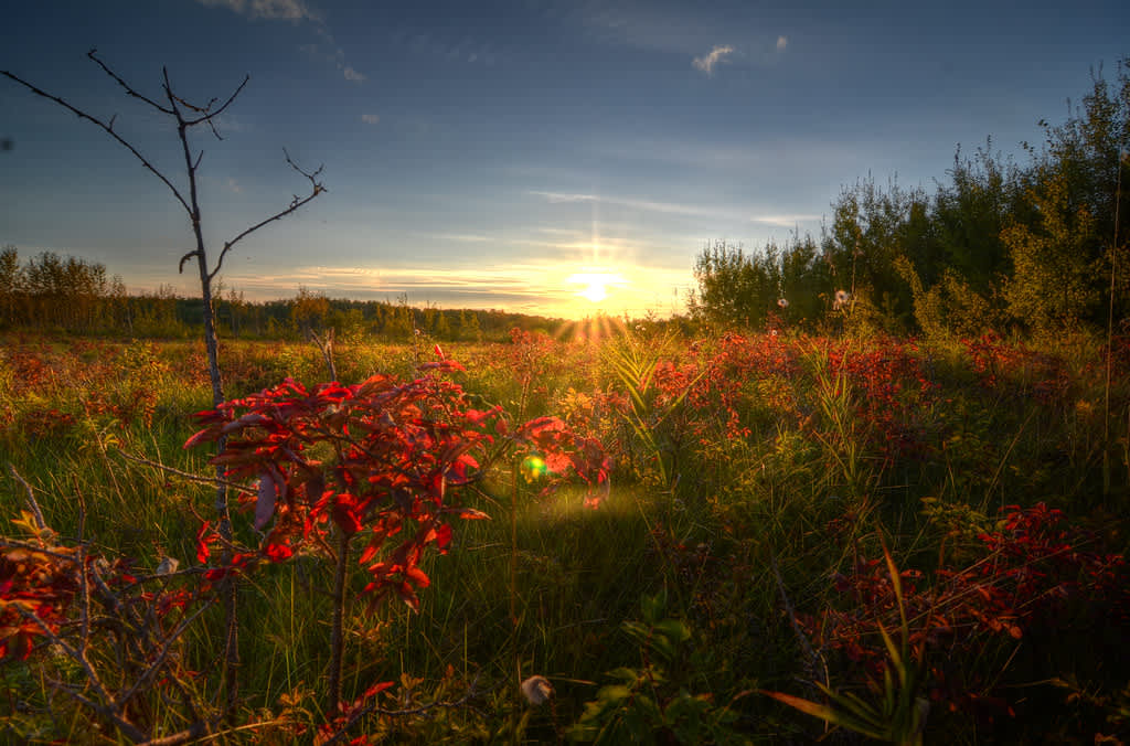 Miquelon Lake Provincial Park