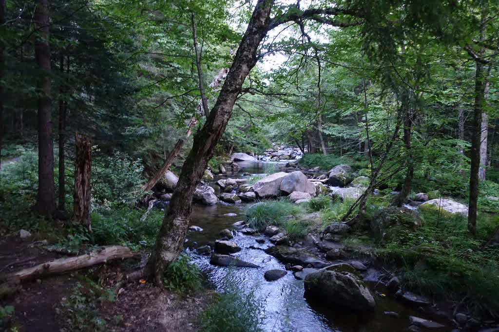 Mont-Mégantic National Park