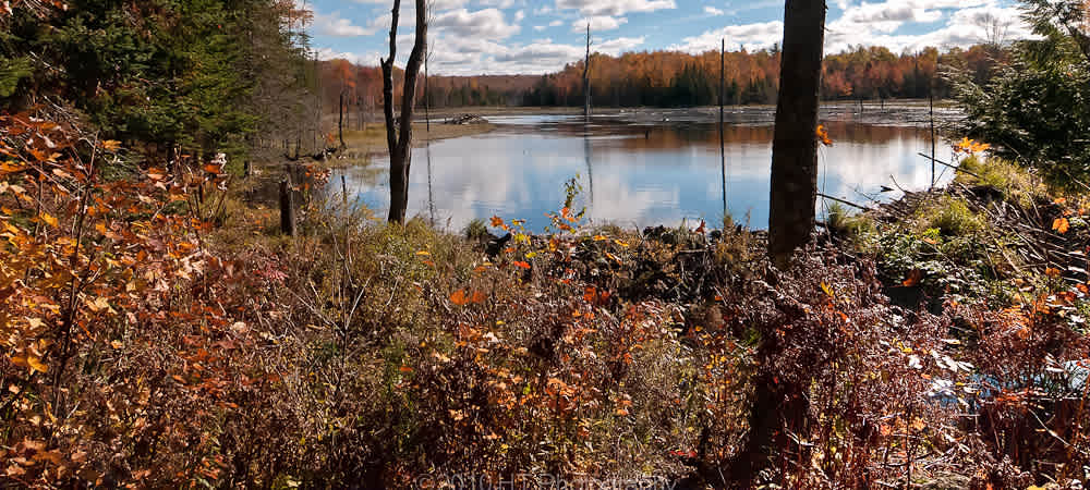 Mont-Orford National Park