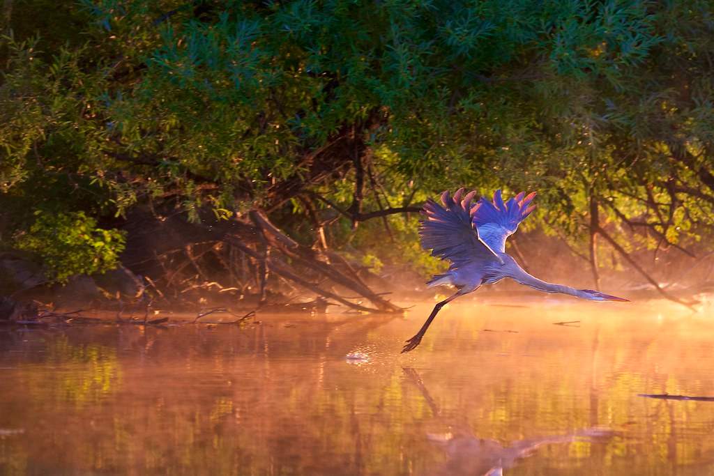Plaisance National Park