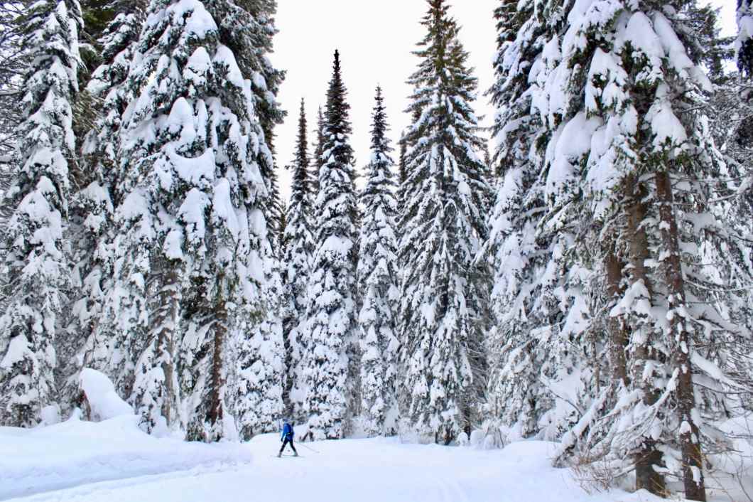 Silver Star Provincial Park