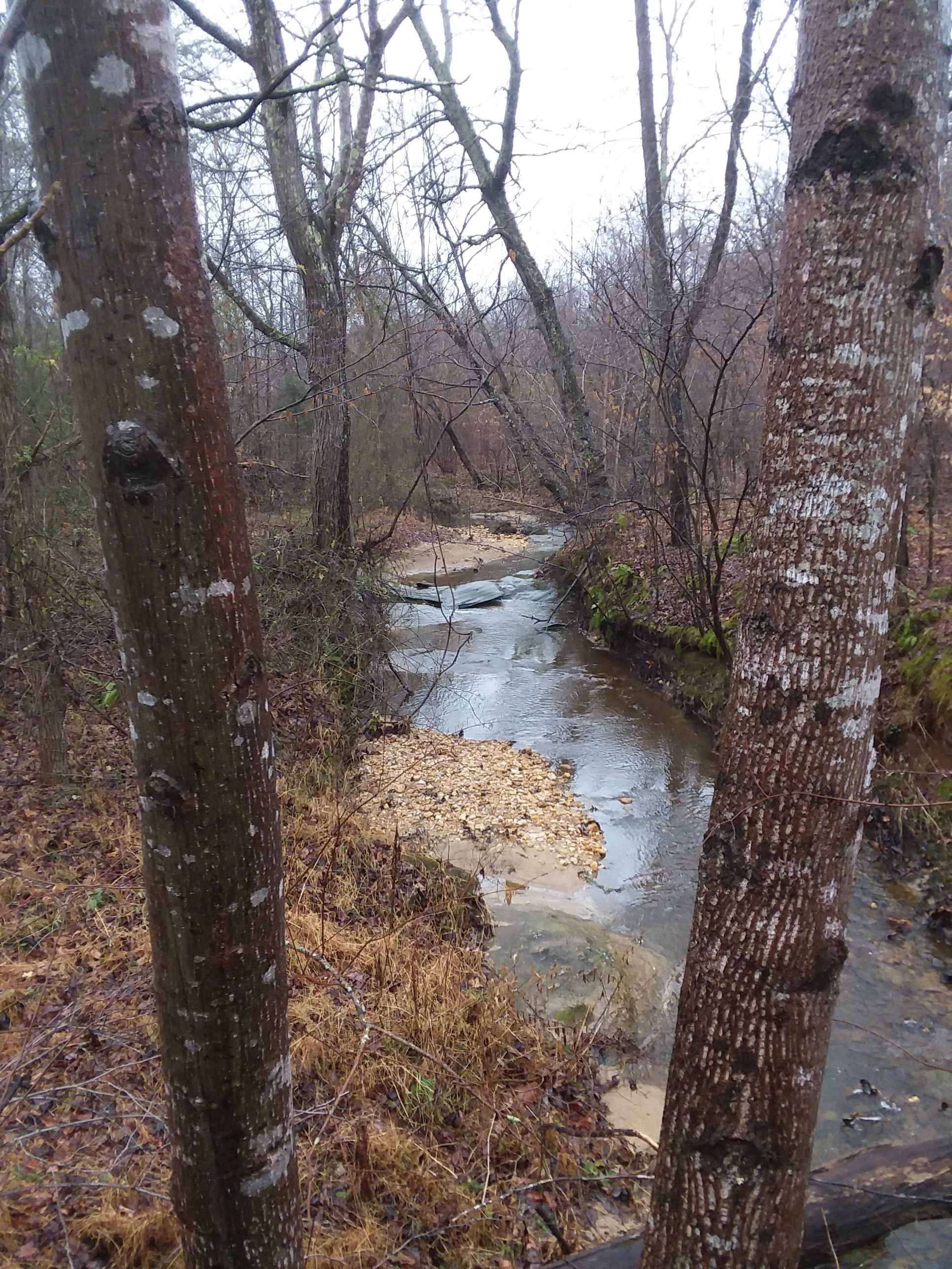 Take a walk by the creek. 