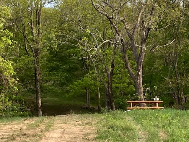 Channels Park Edge Campsites