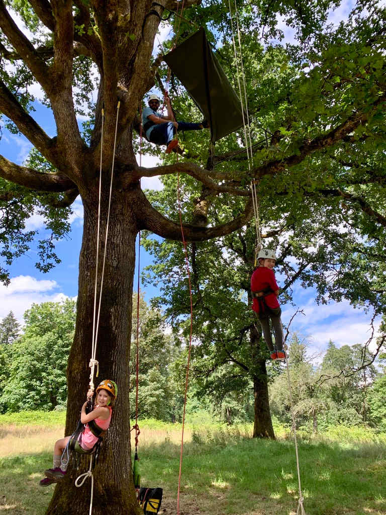 Rooted Acorns Family Farm