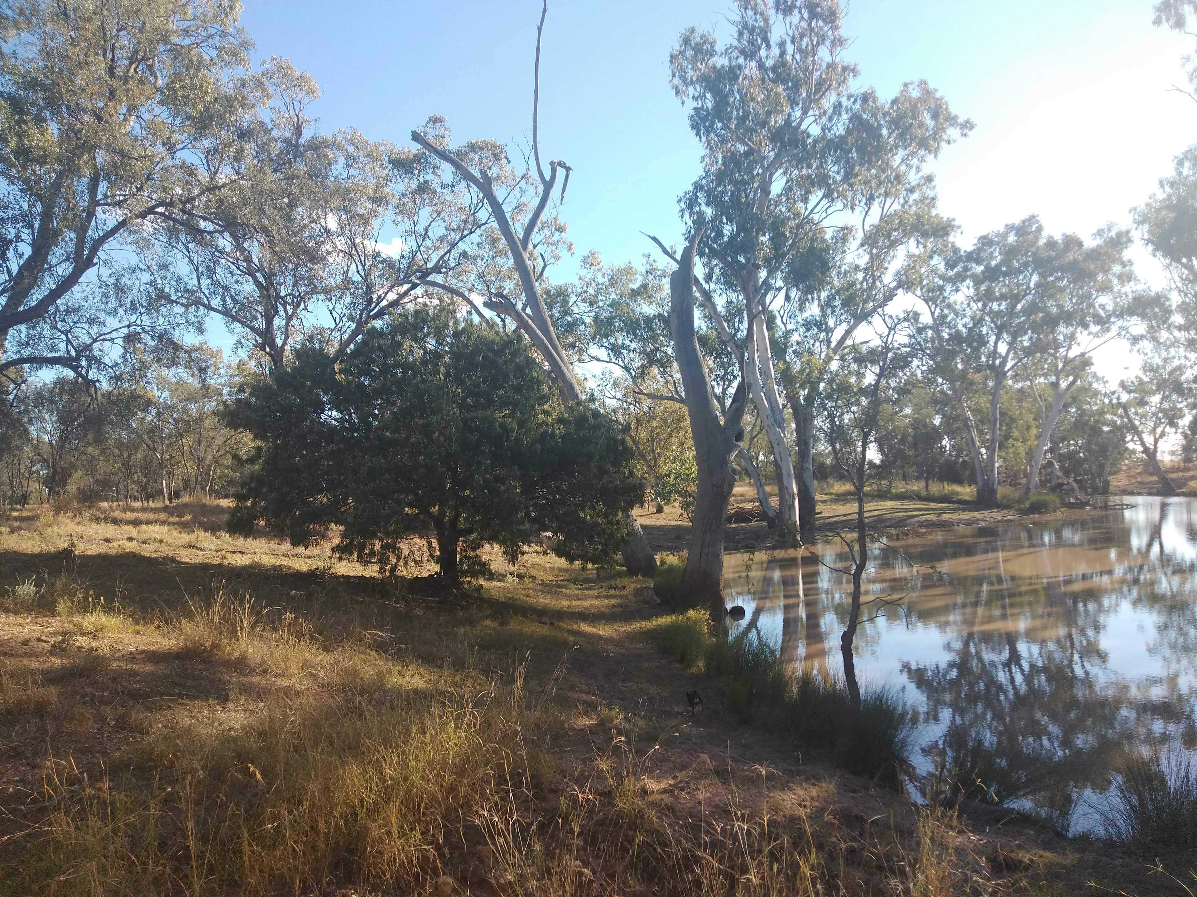Brigalow Creek Camp